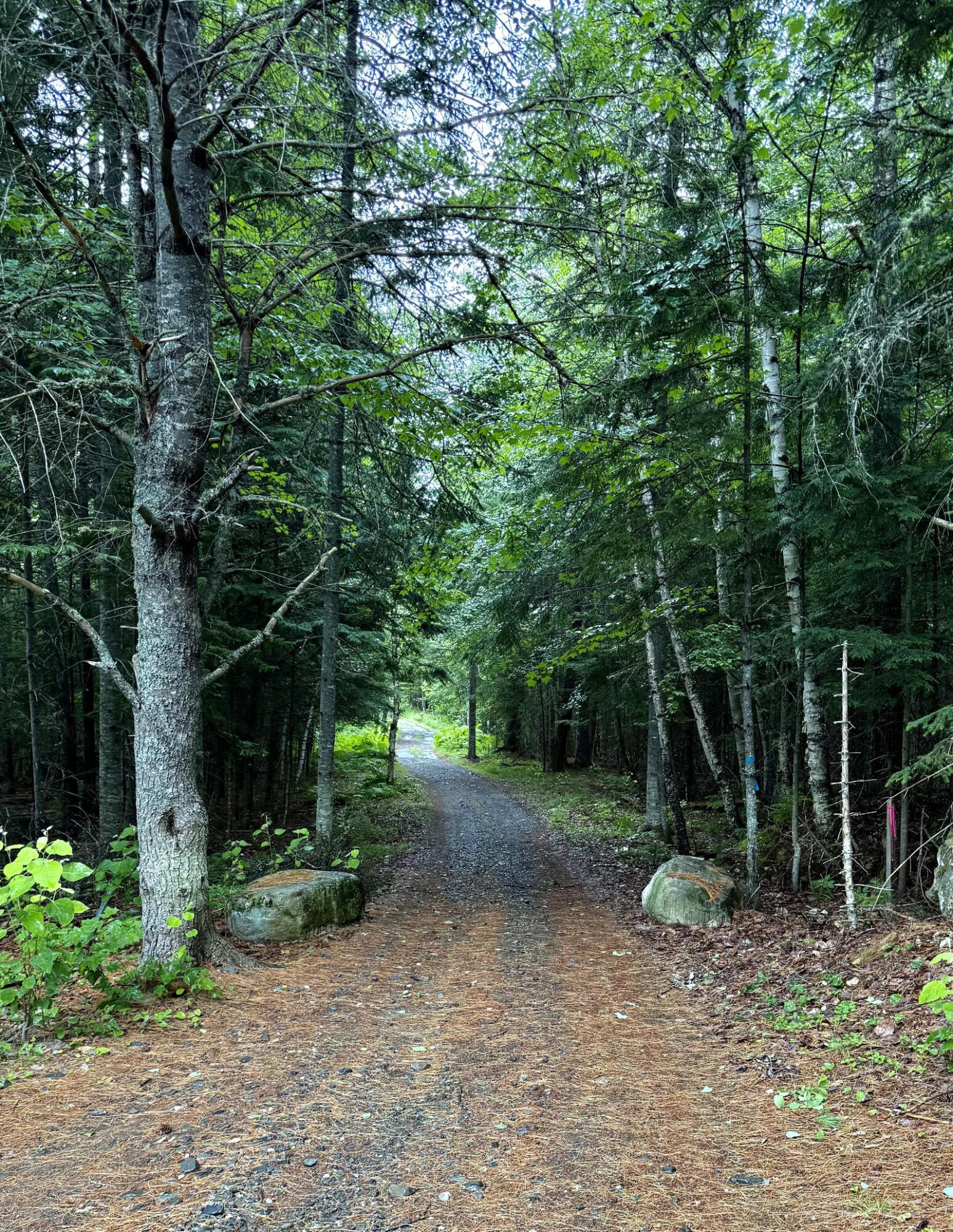 main property photo 78