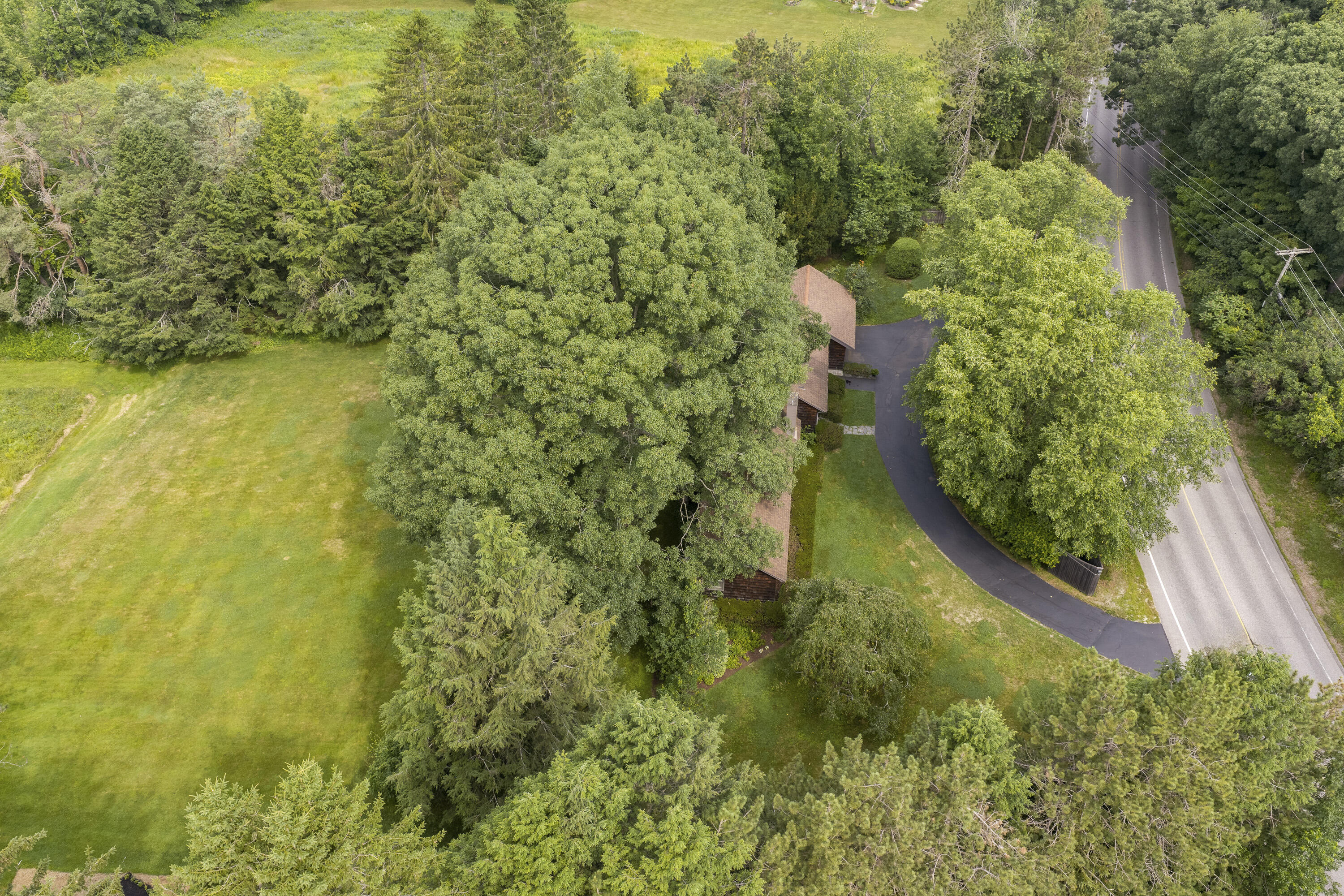 main property photo 82