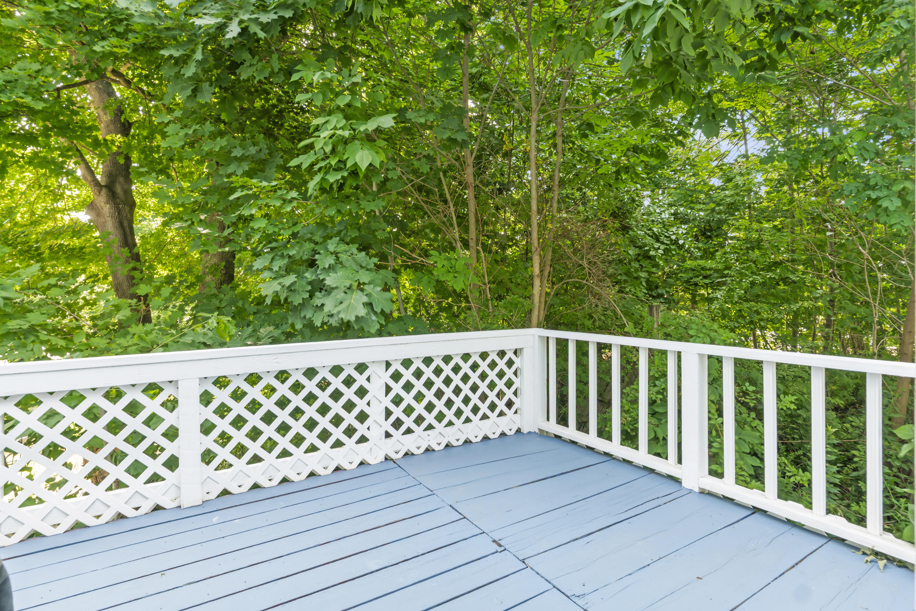 main property photo 59