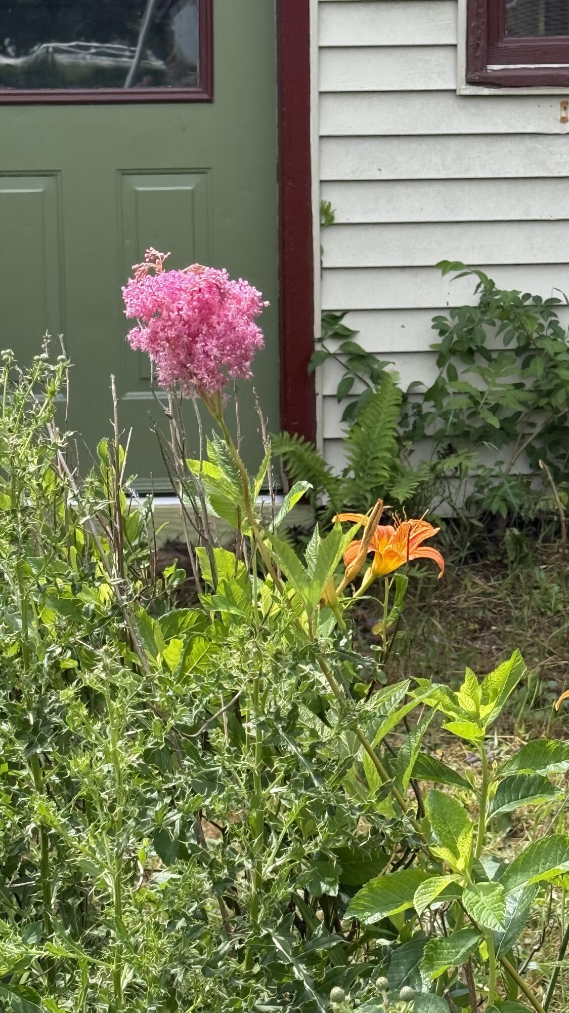 main property photo 50