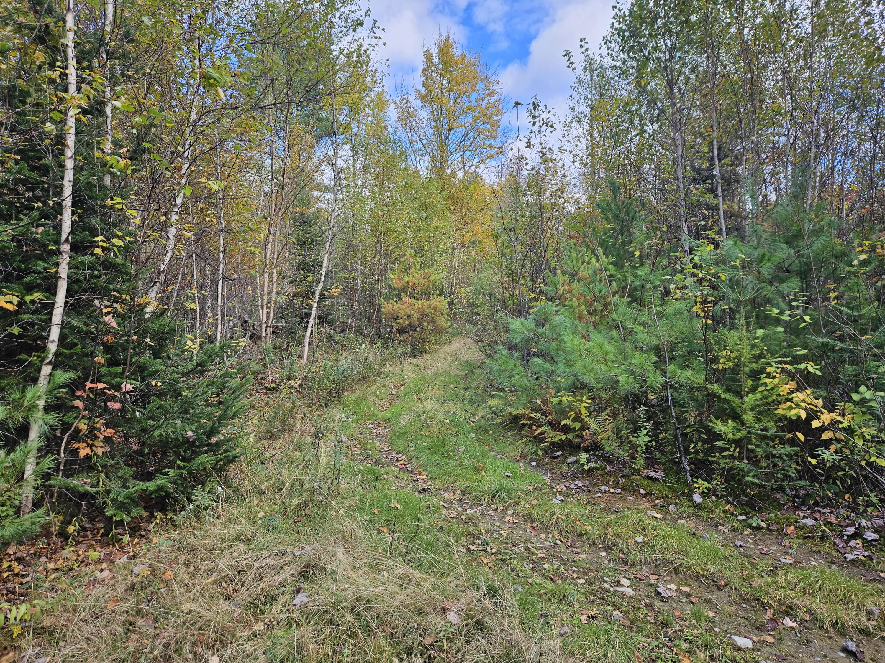 main property photo 51