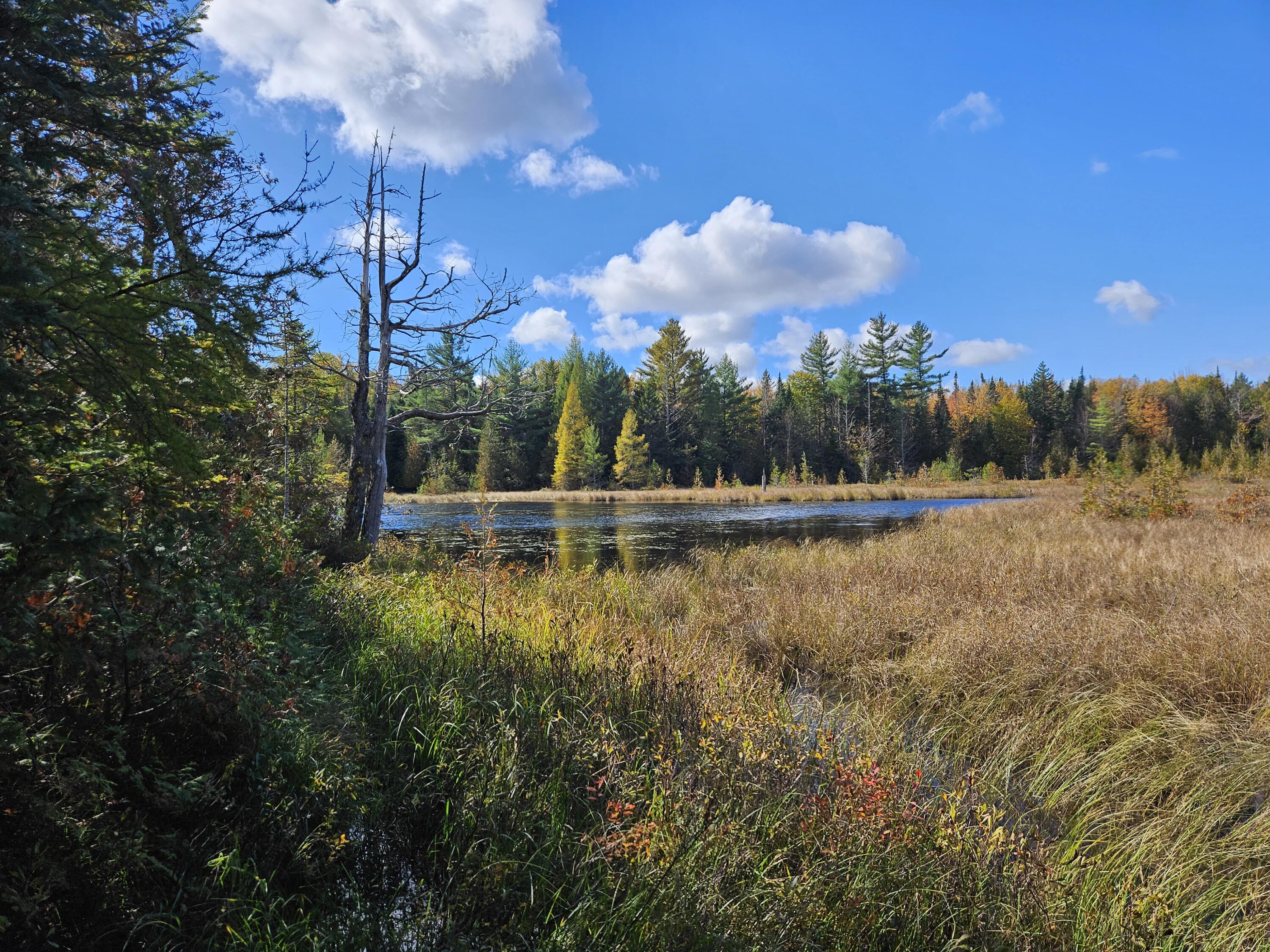 main property photo 56