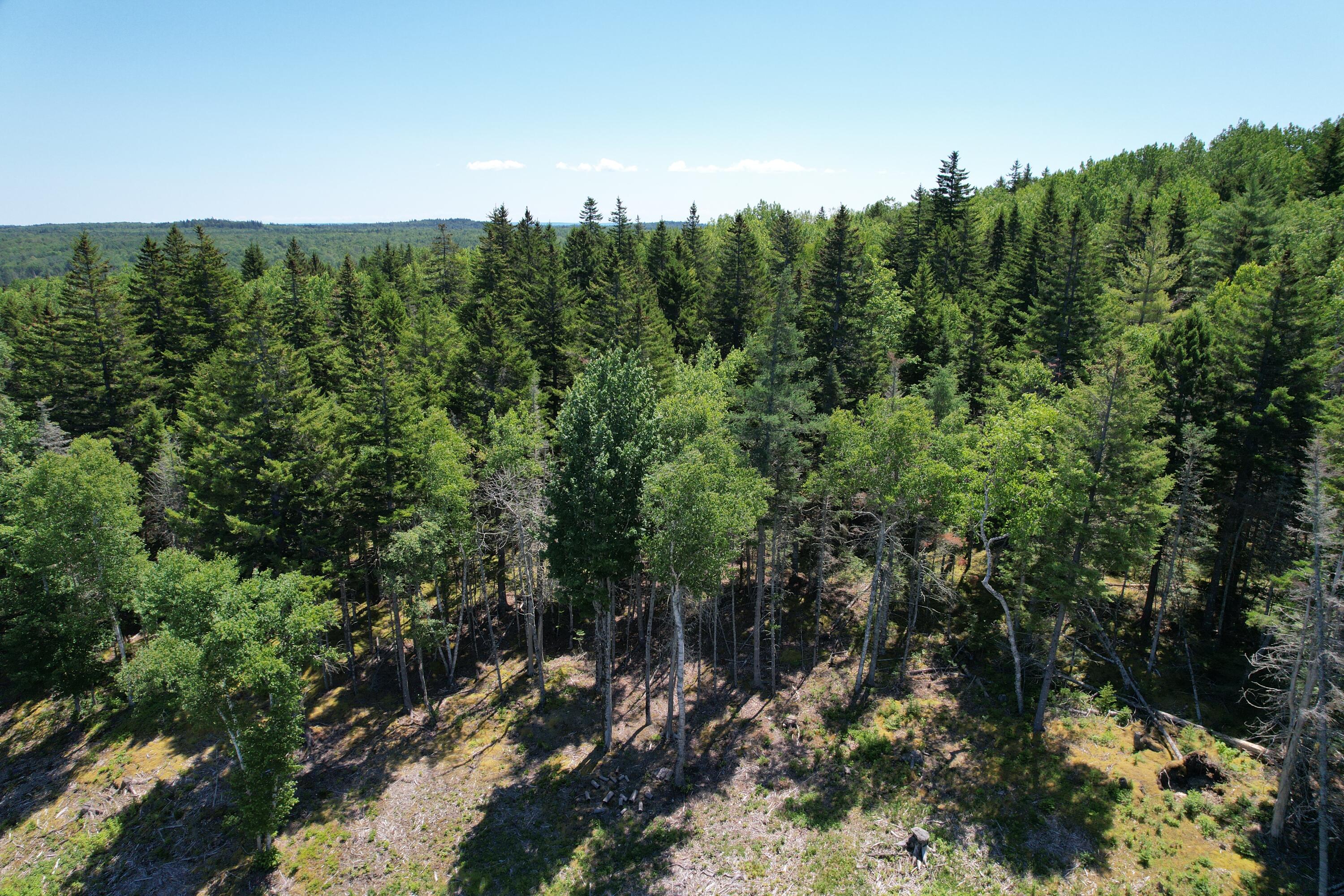 main property photo 87