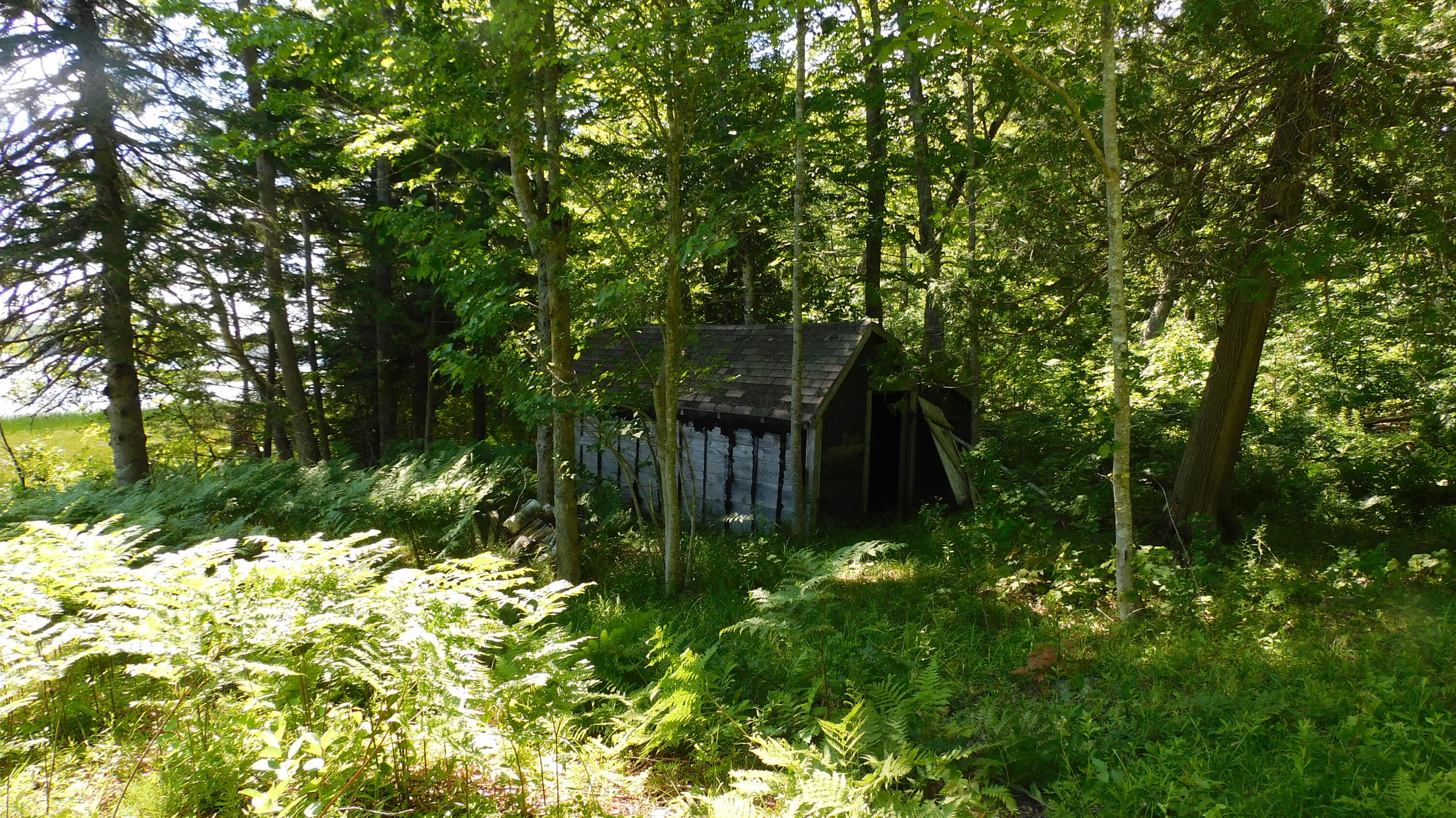 main property photo 11