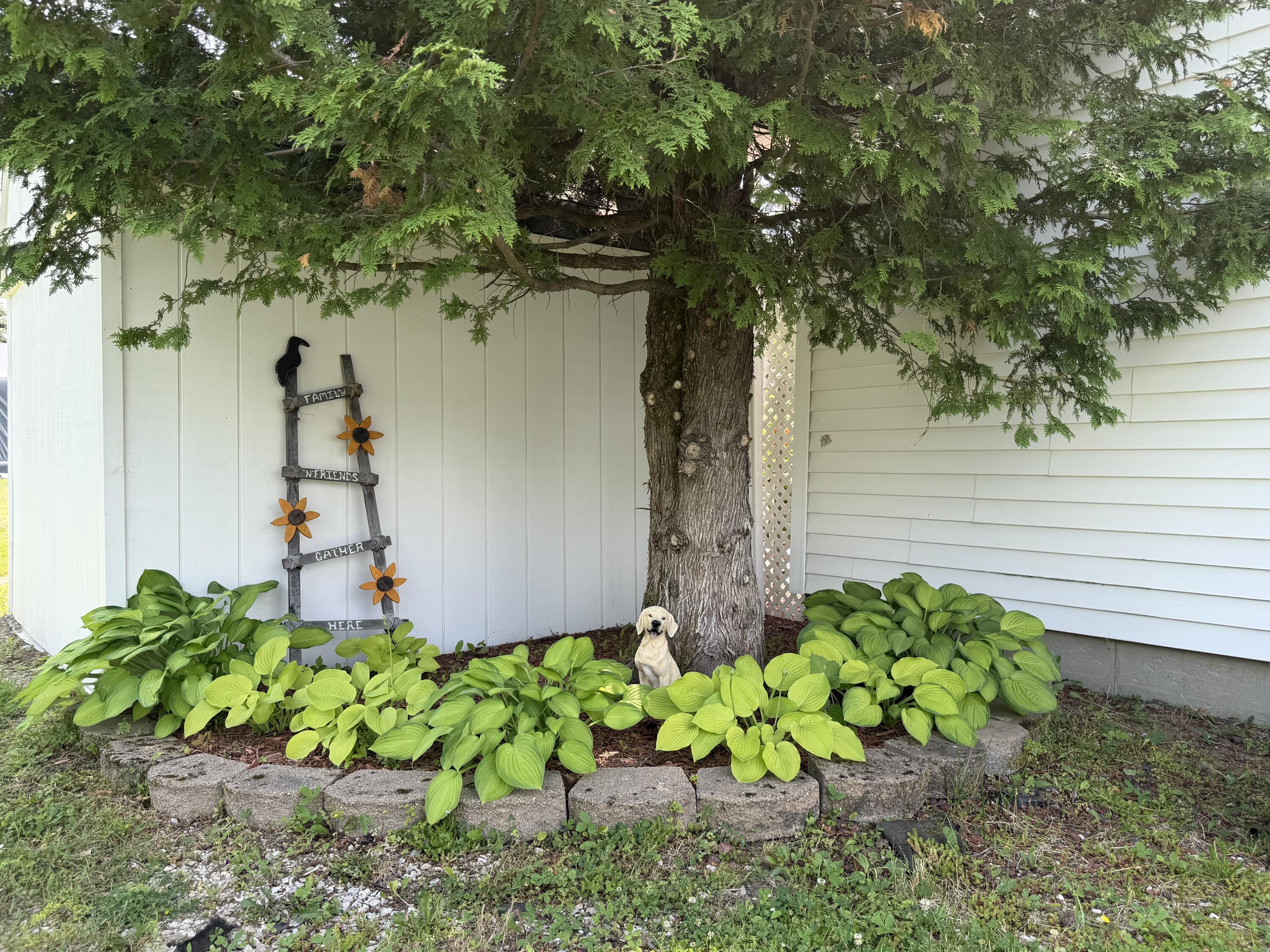 main property photo 93
