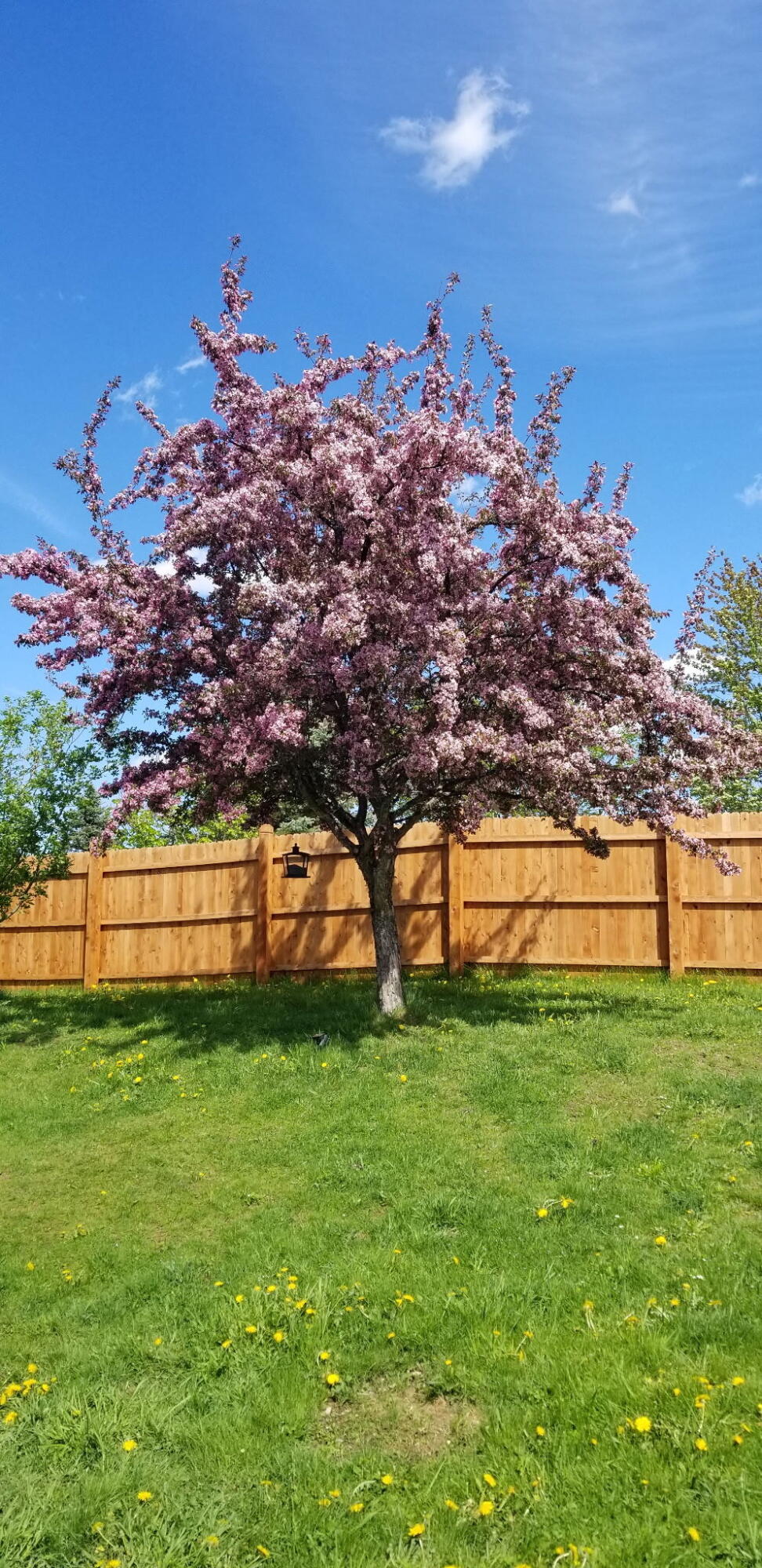 main property photo 94