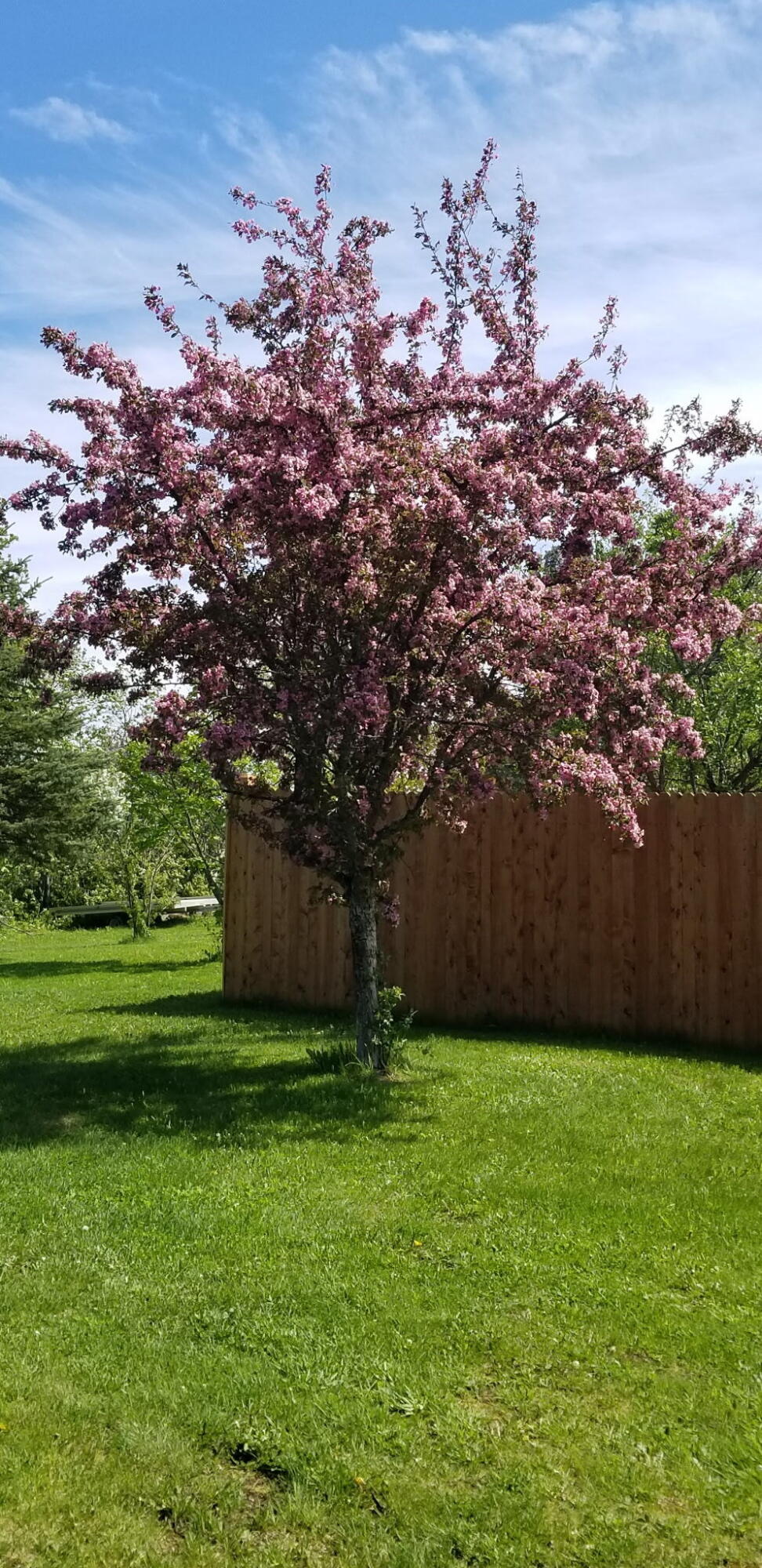 main property photo 95