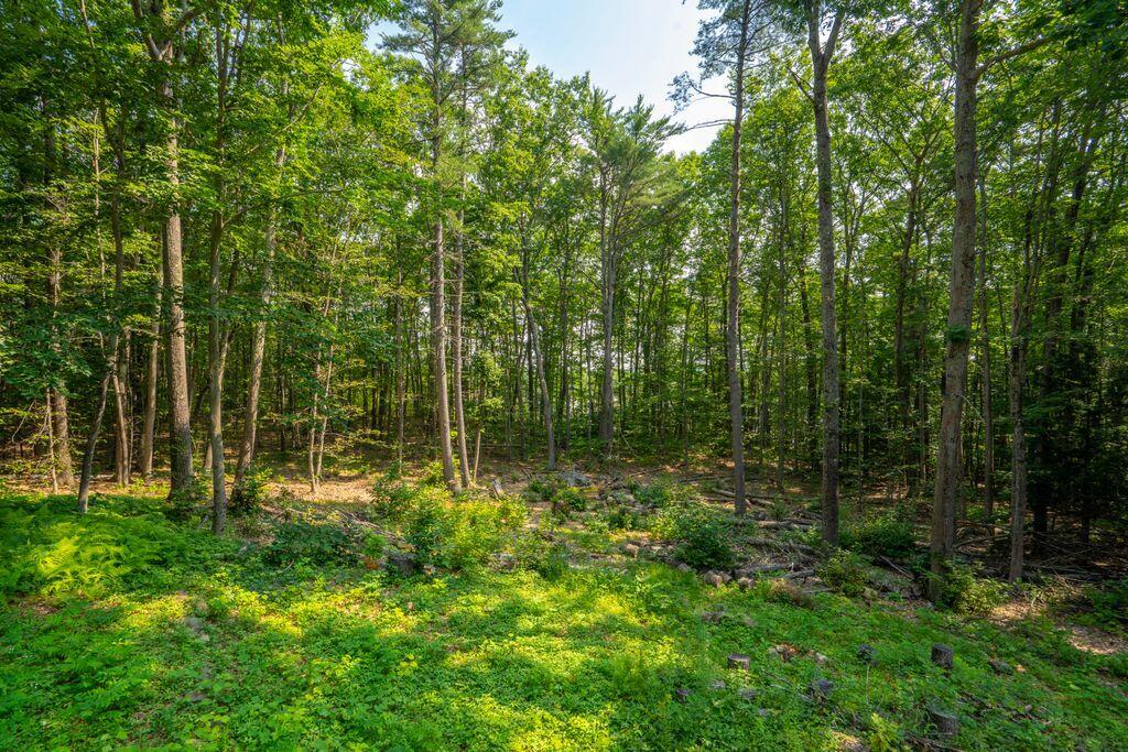 main property photo 55