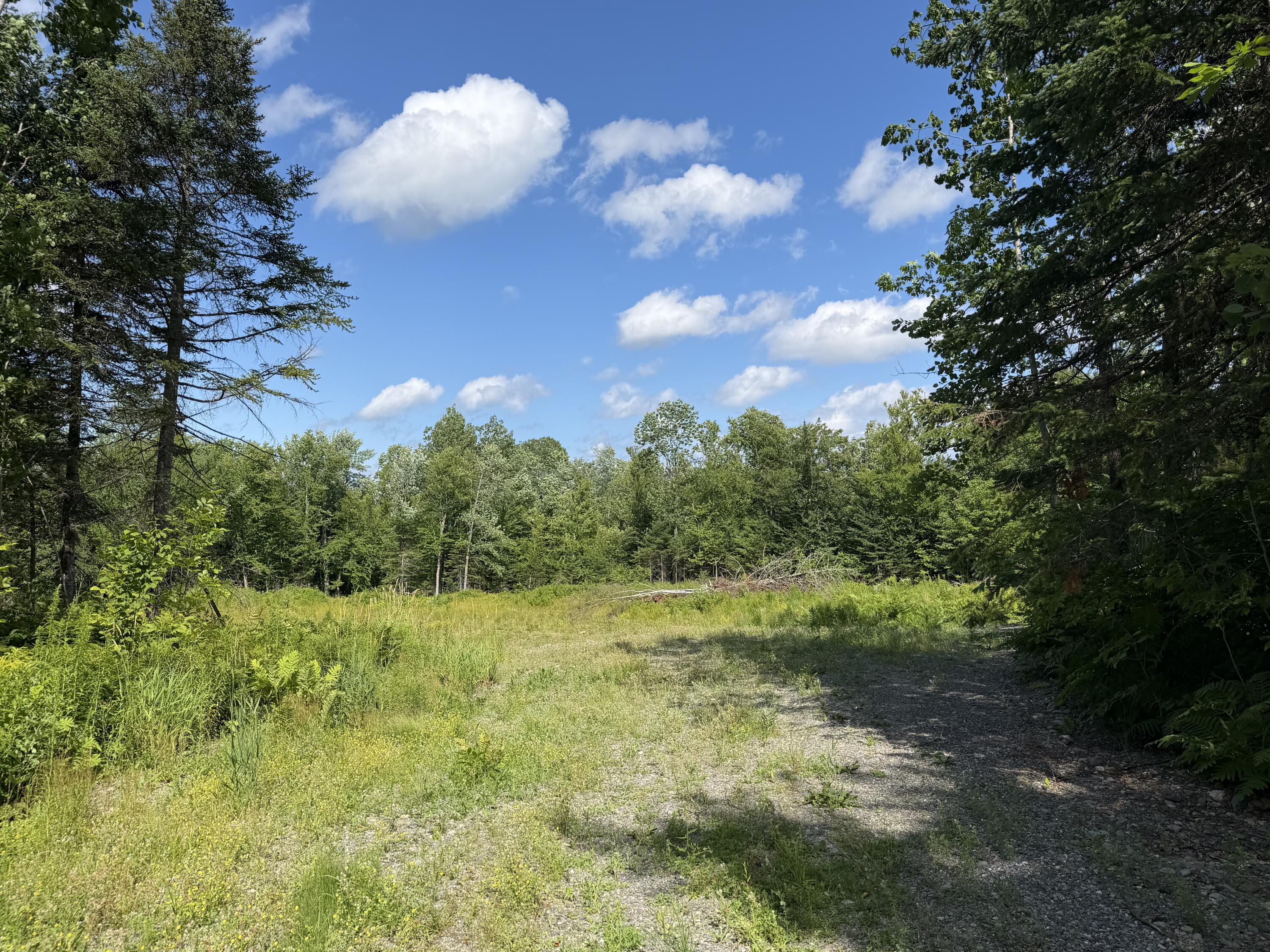 main property photo 13