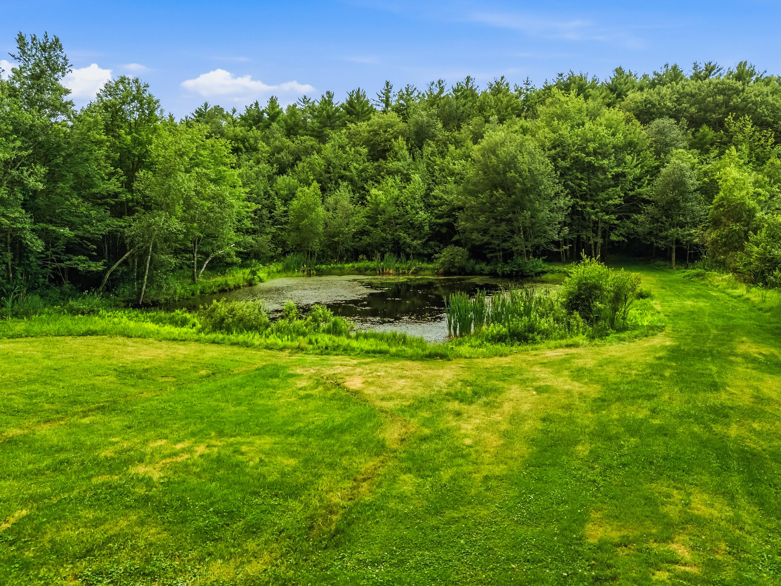 main property photo 68