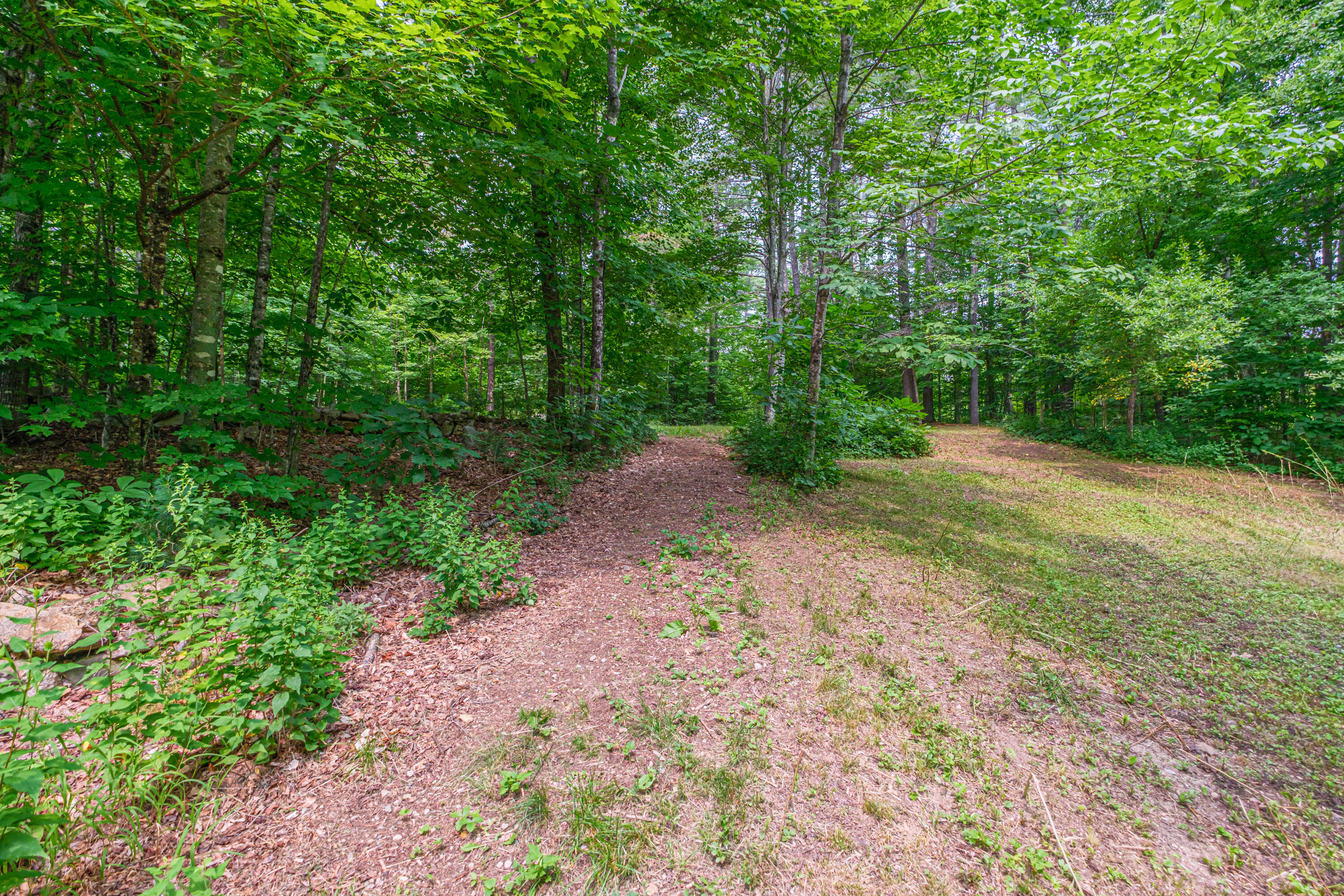 main property photo 93