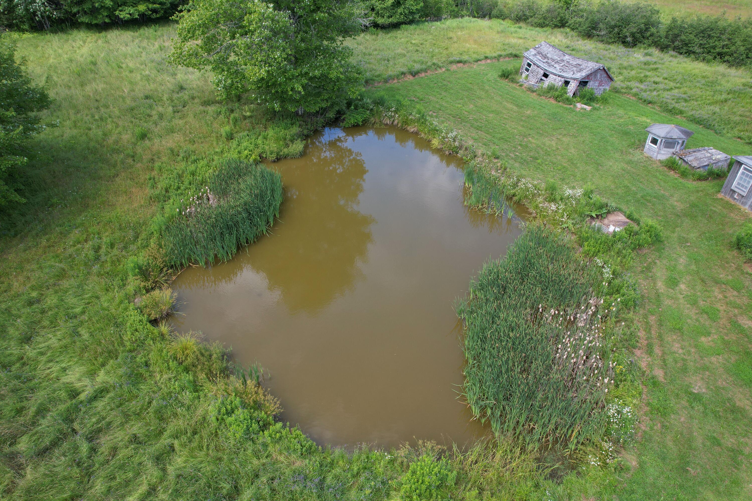 main property photo 50
