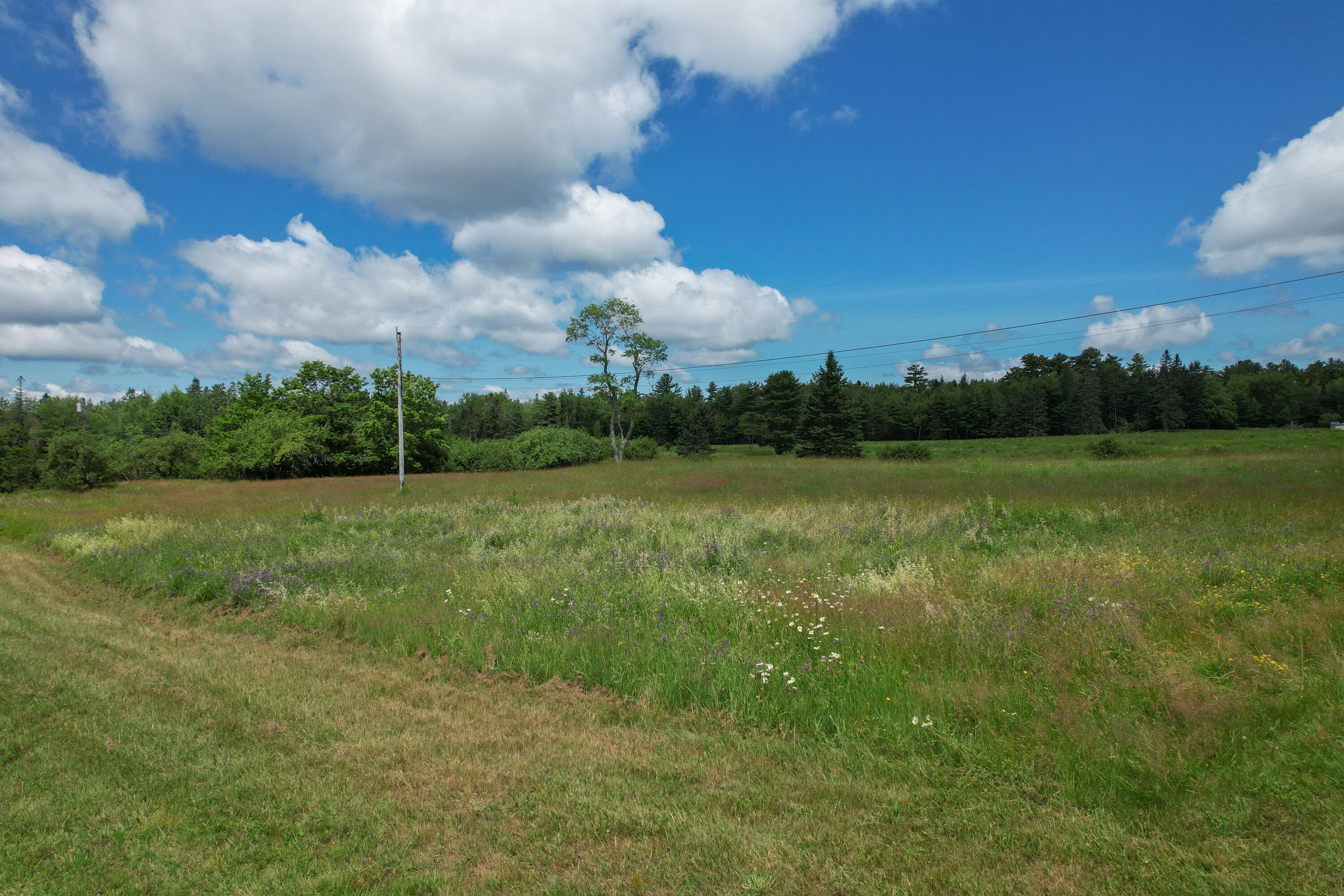 main property photo 58