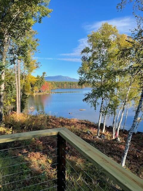main property photo 95