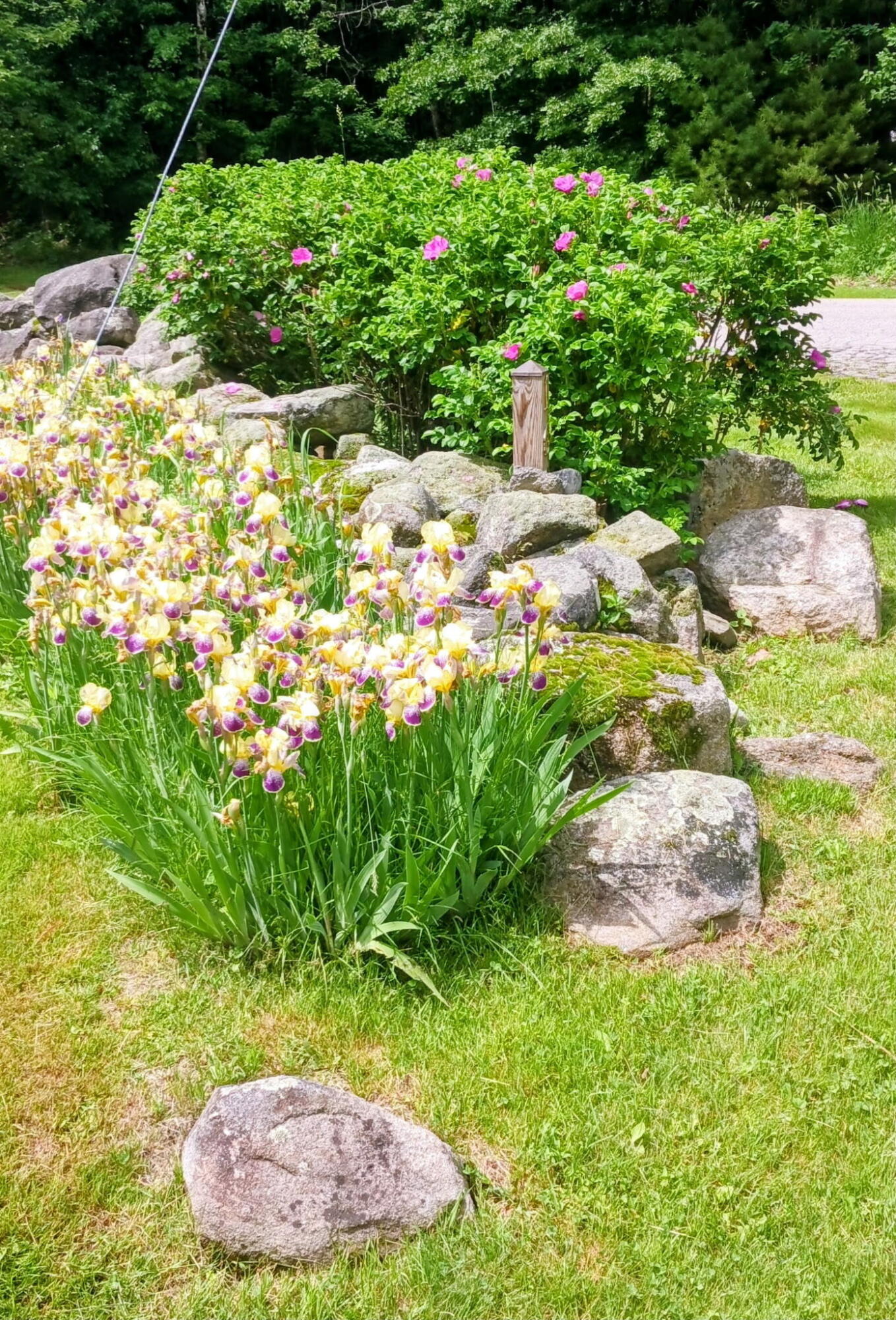 main property photo 38