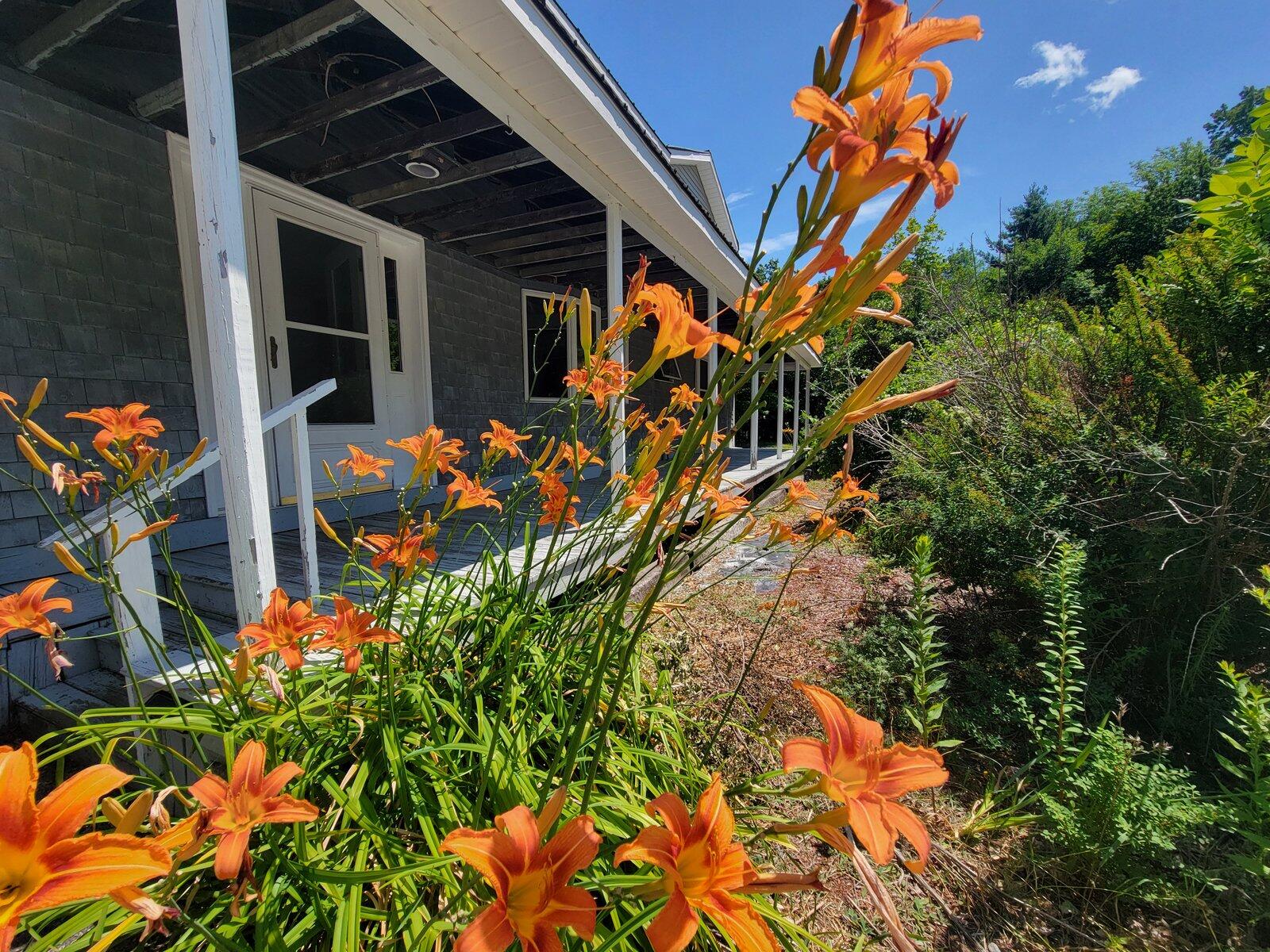 main property photo 47