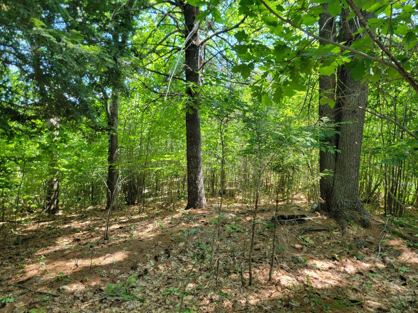 main property photo 49