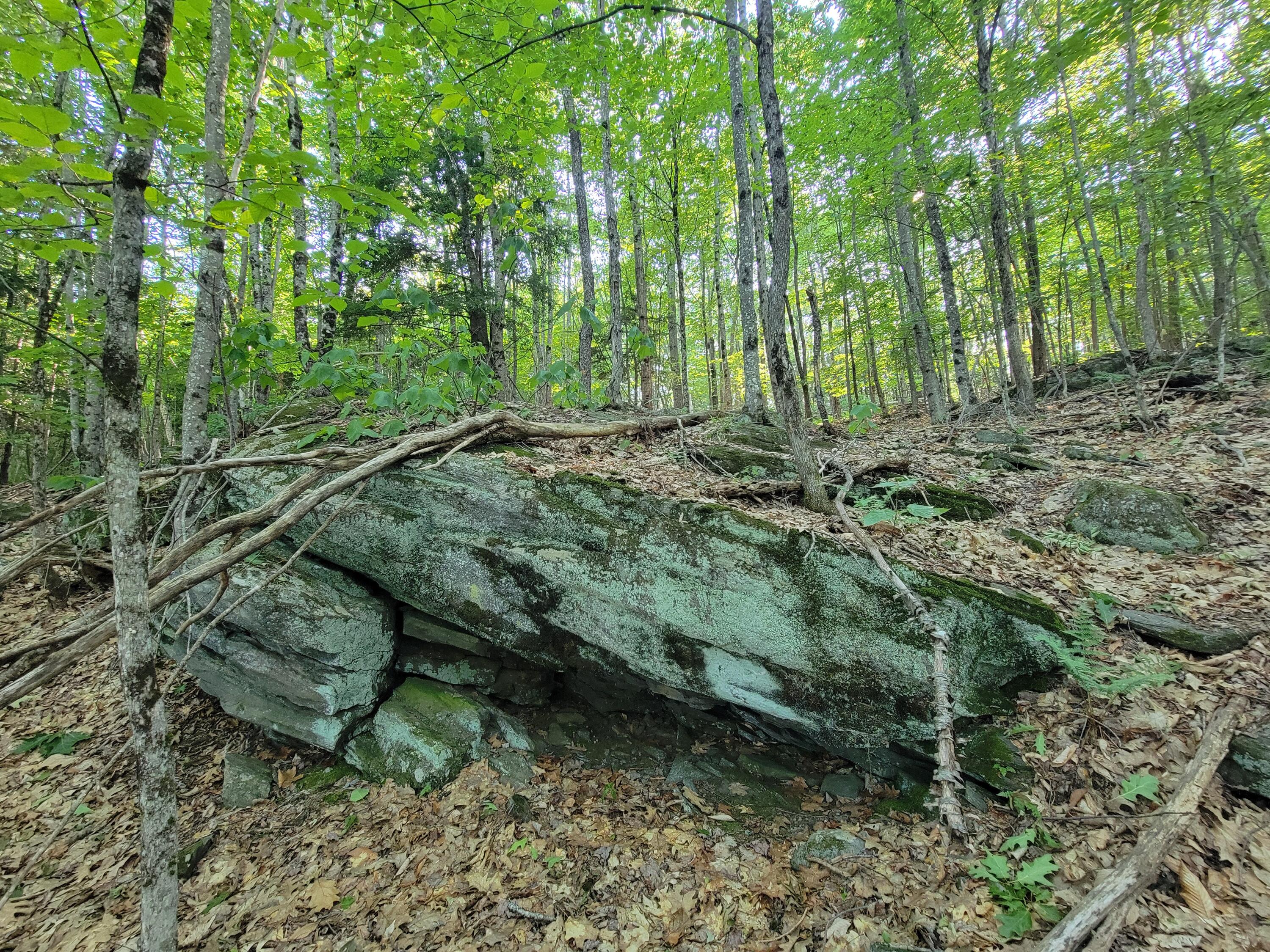 main property photo 55