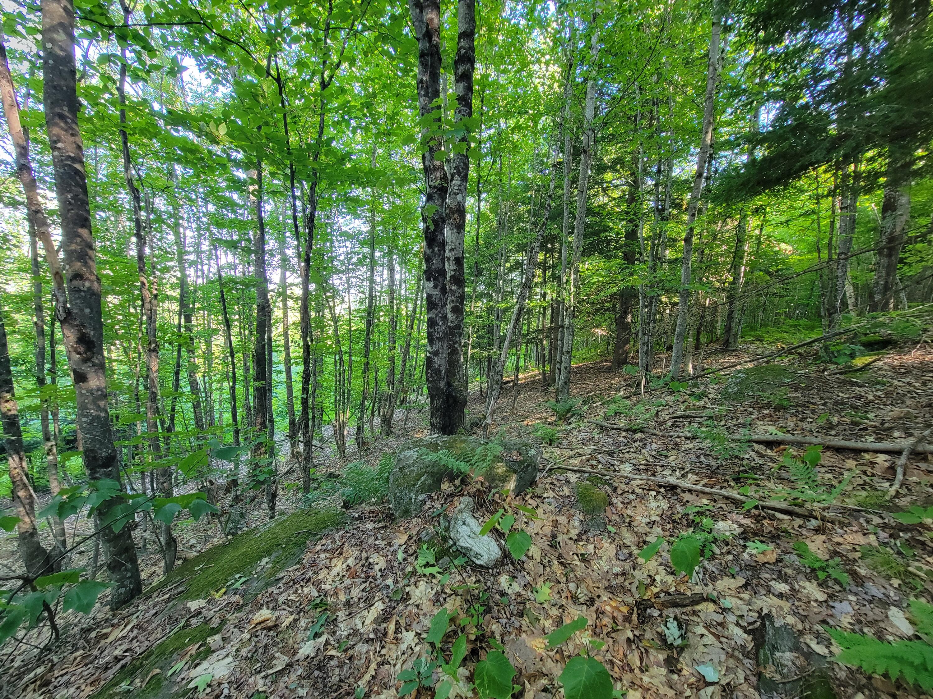 main property photo 57