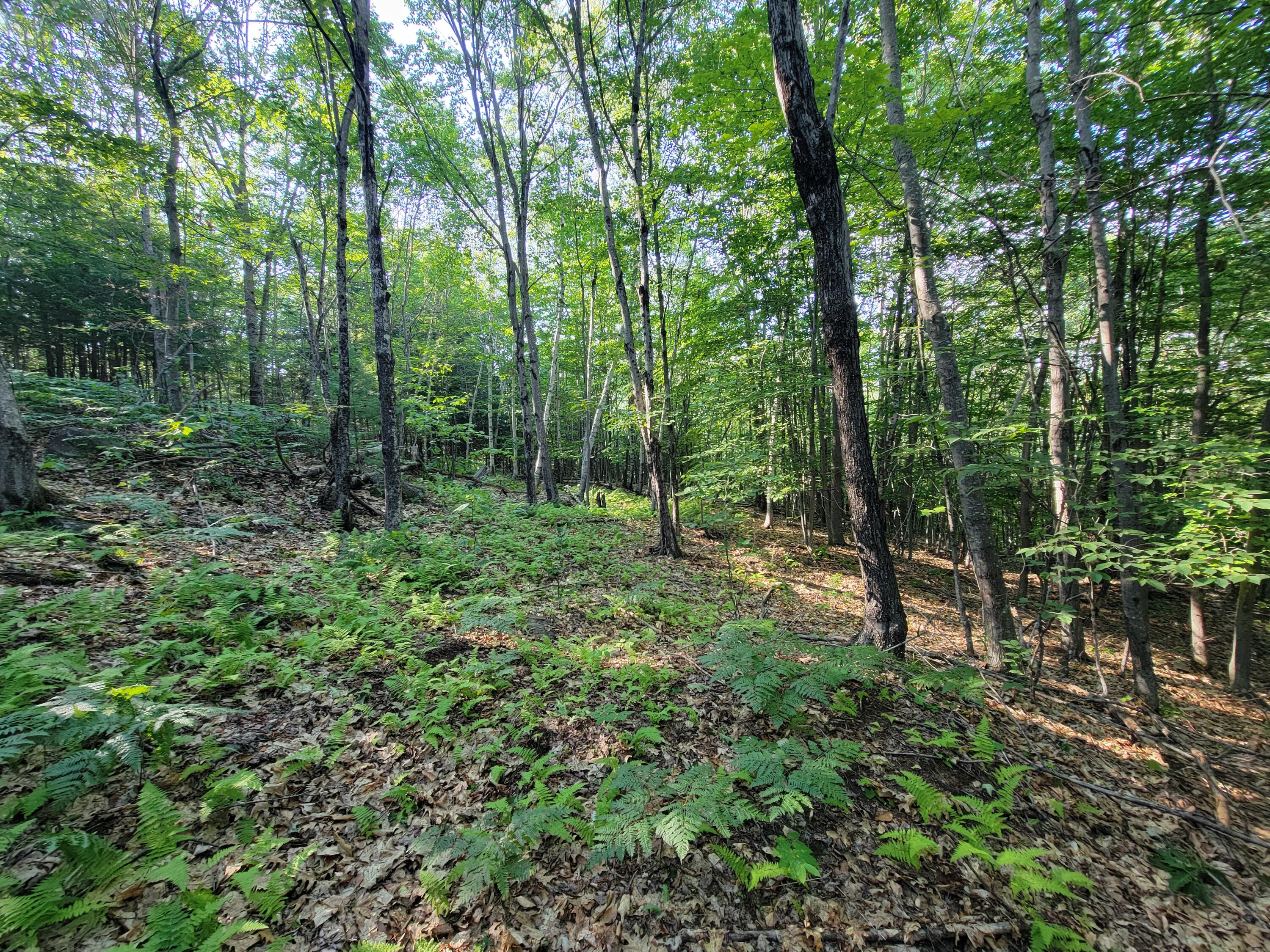 main property photo 58