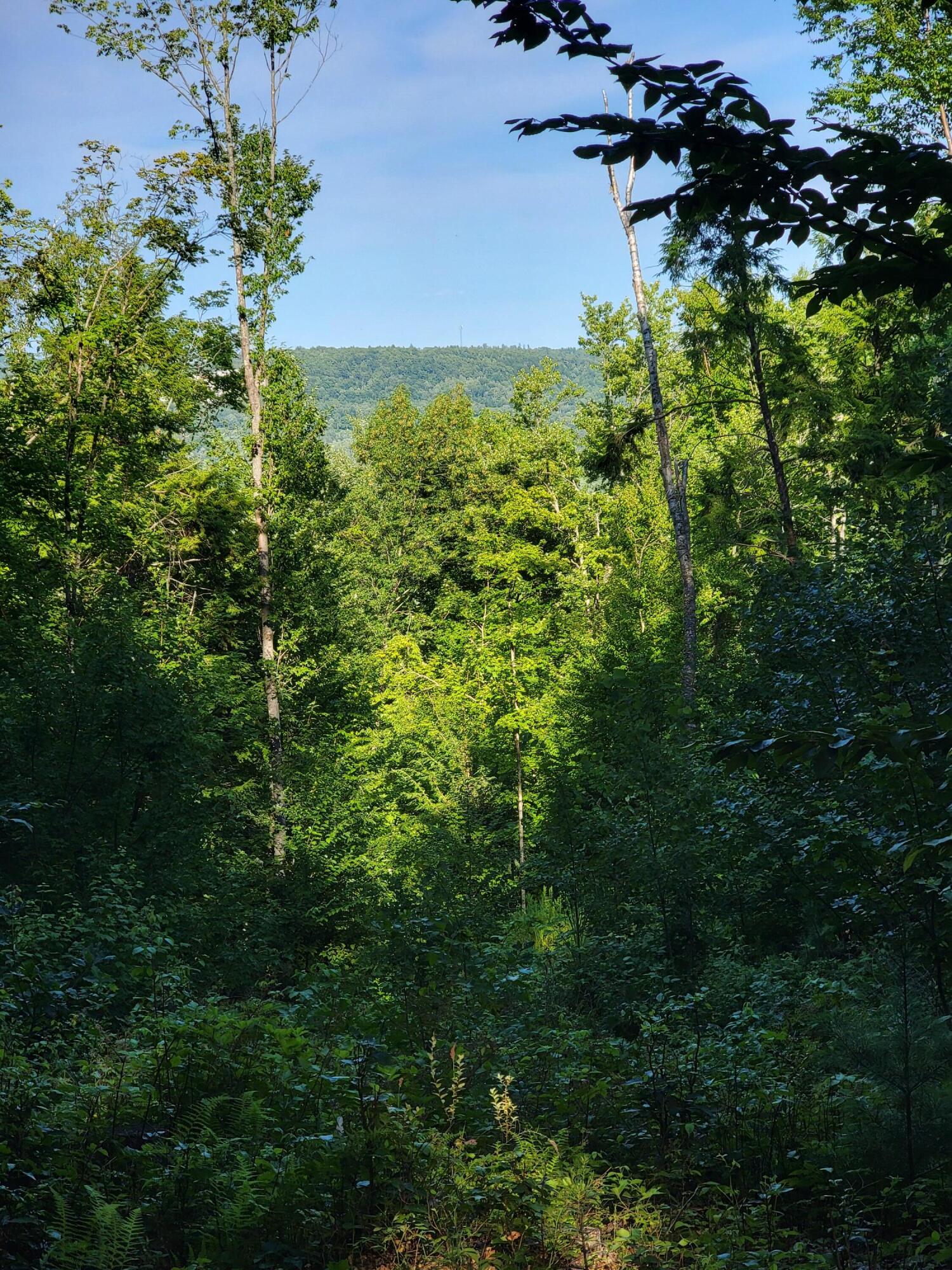 main property photo 59