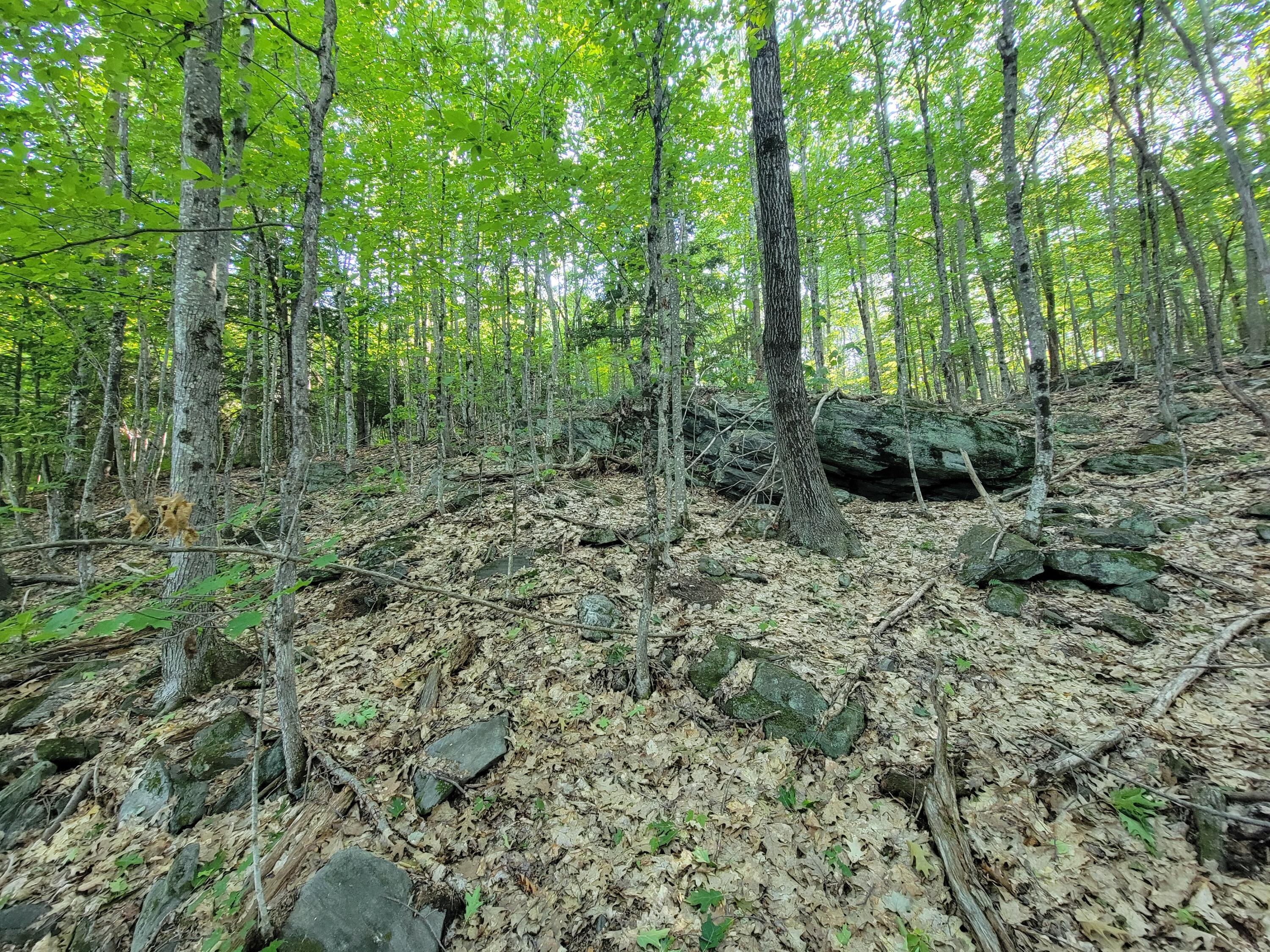 main property photo 60