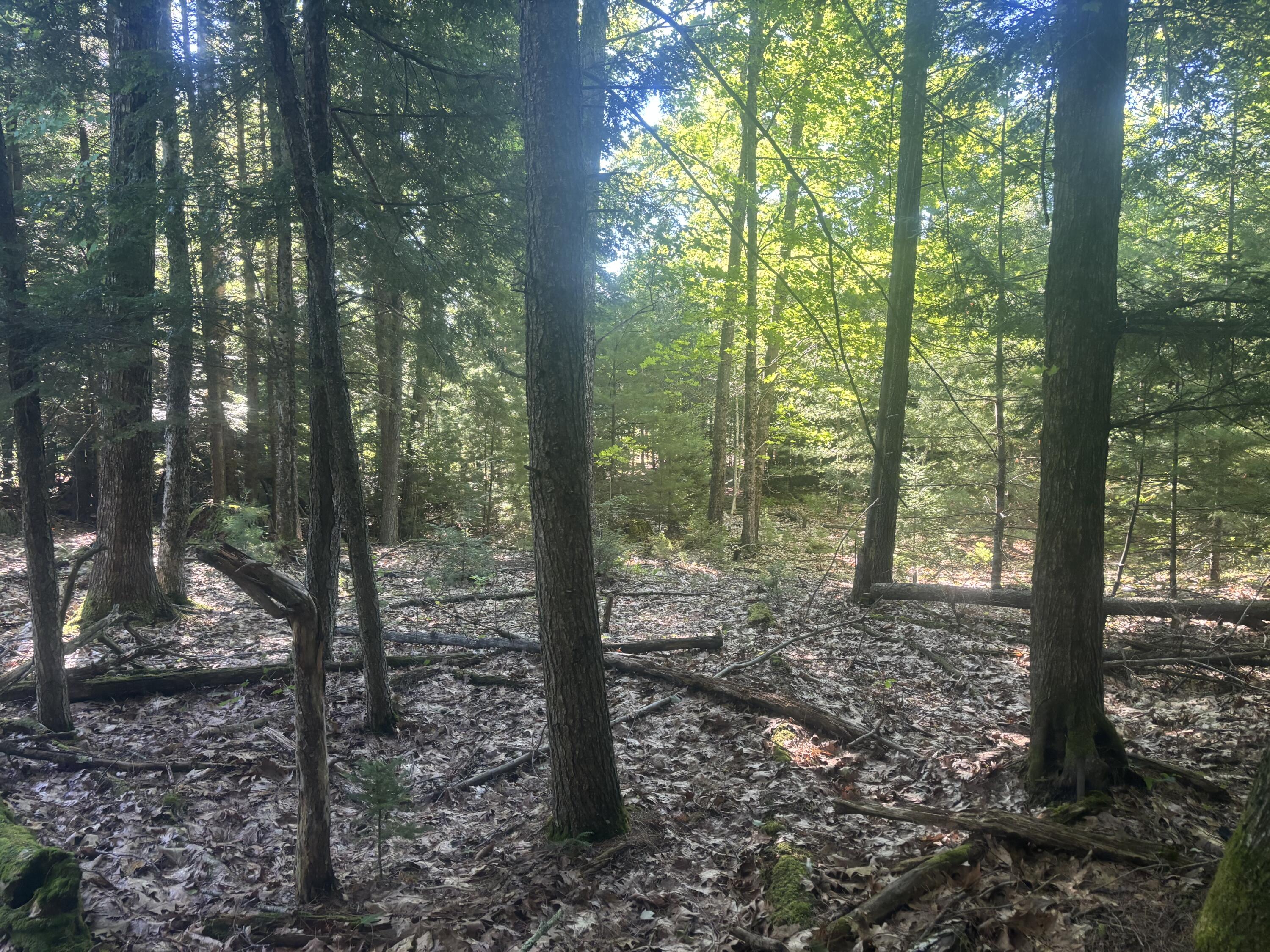 main property photo 7