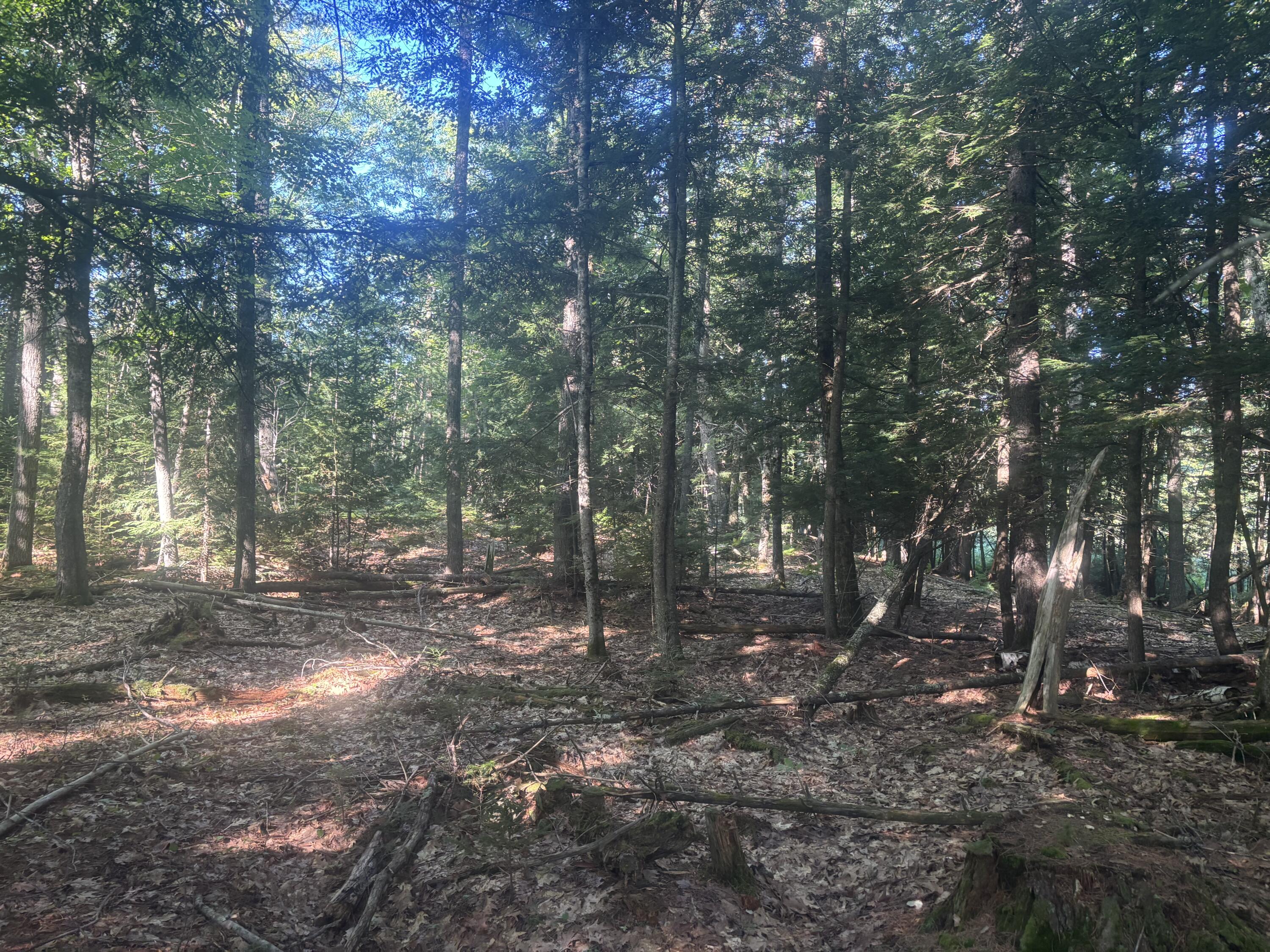 main property photo 8
