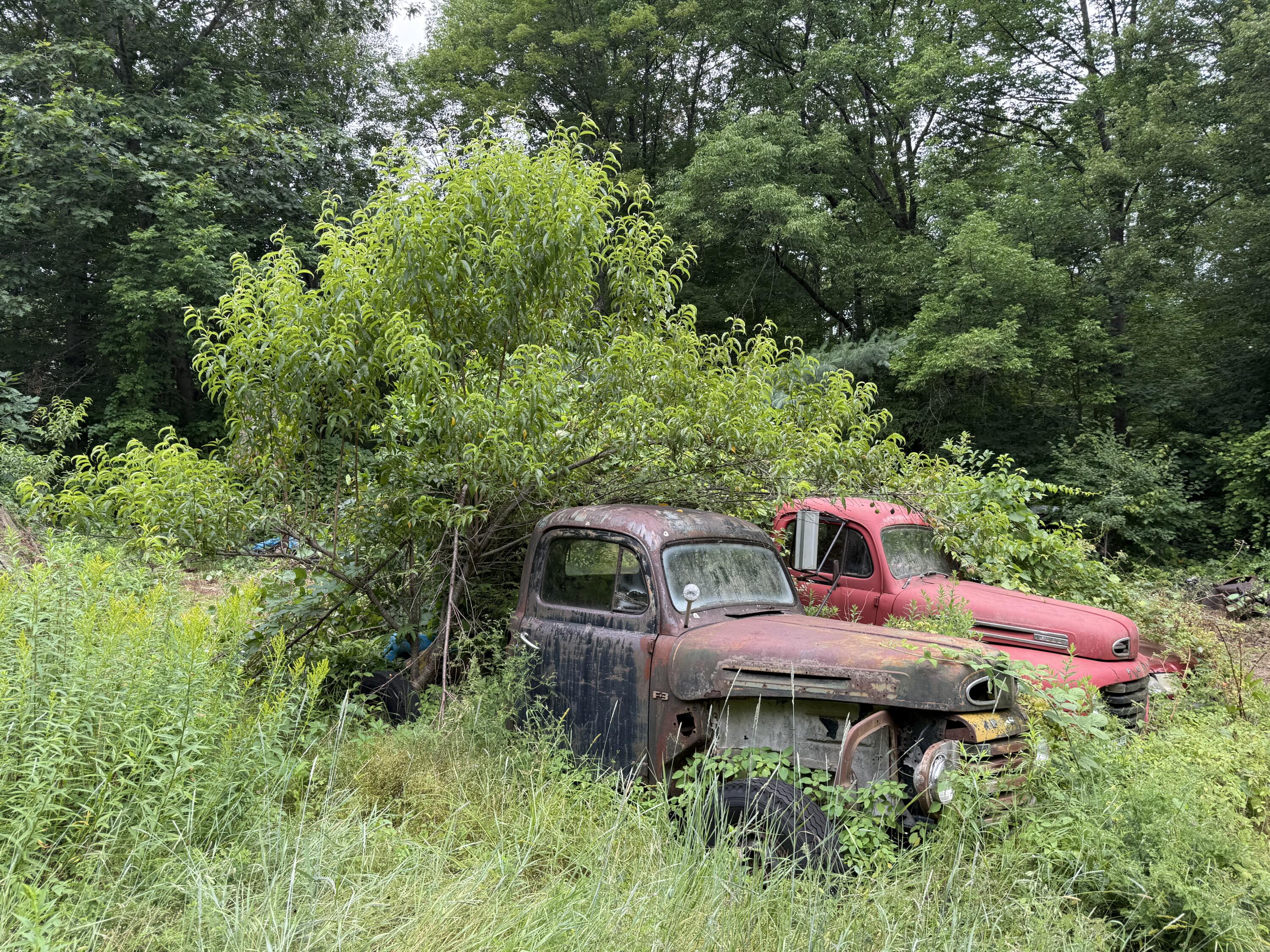 main property photo 27
