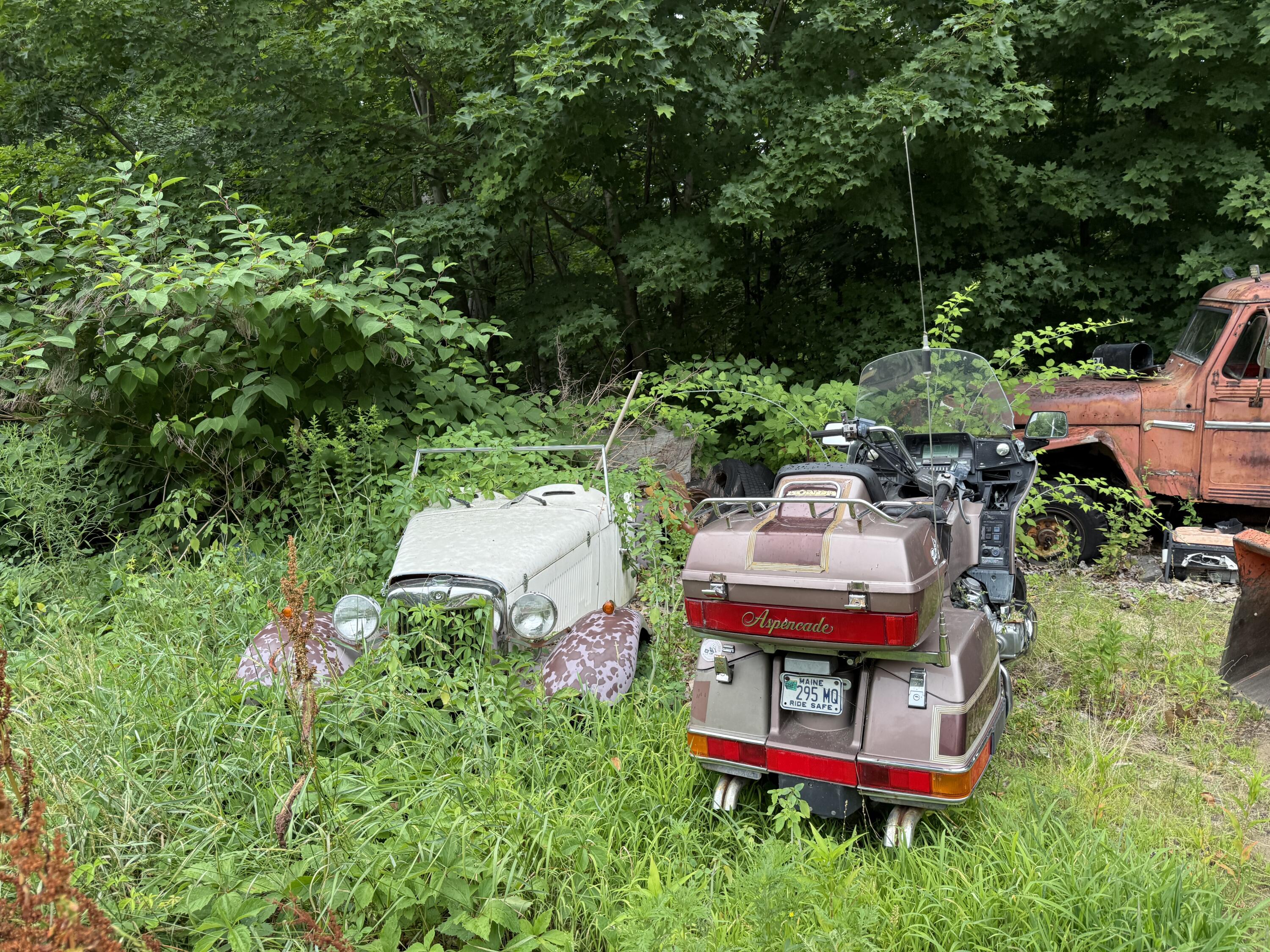main property photo 41