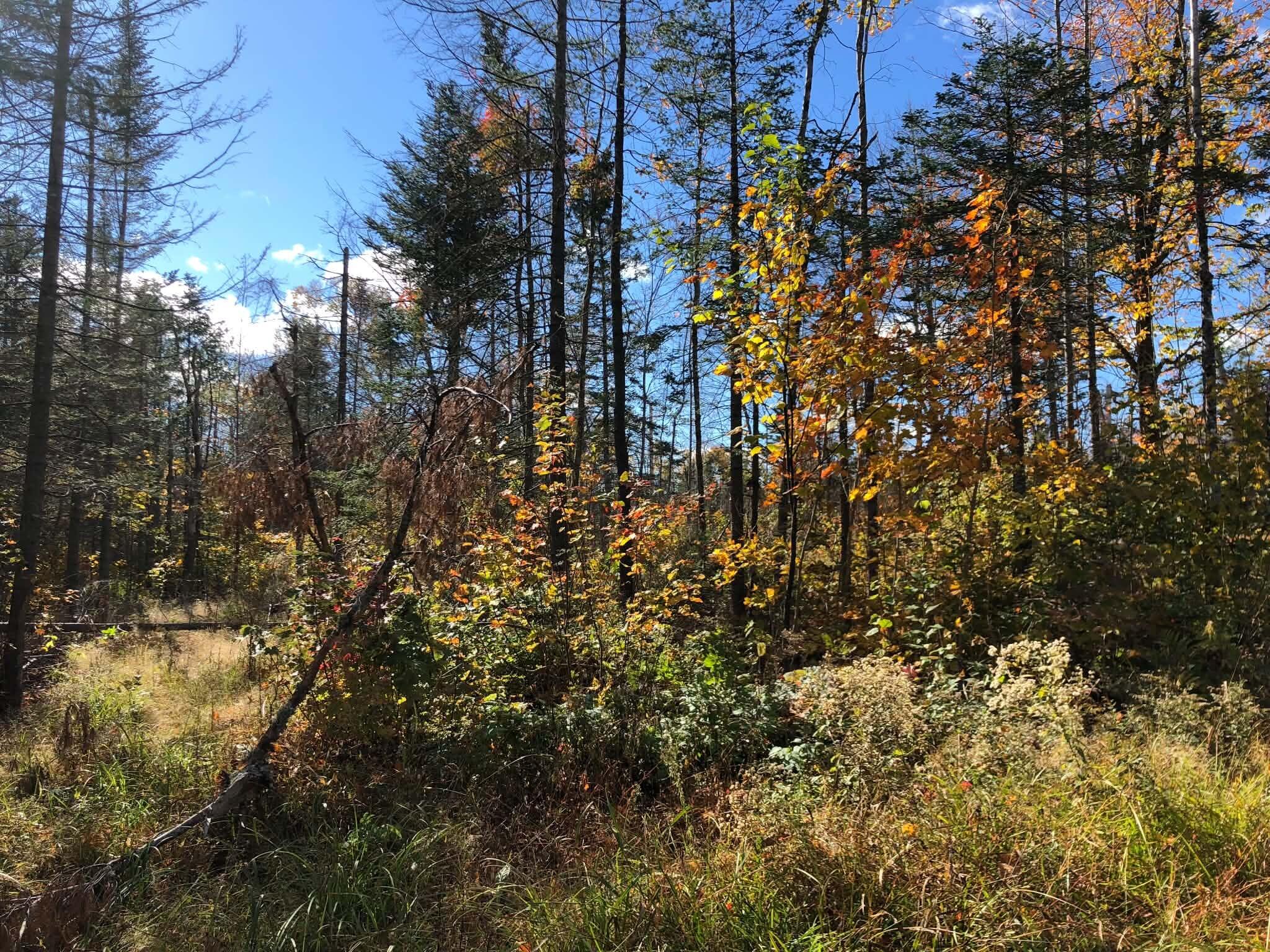 main property photo 12