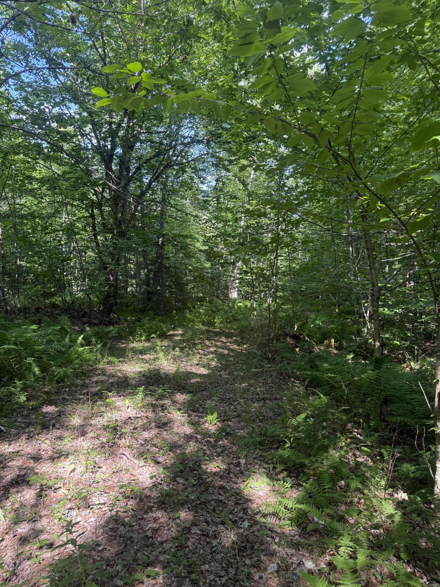 main property photo 6