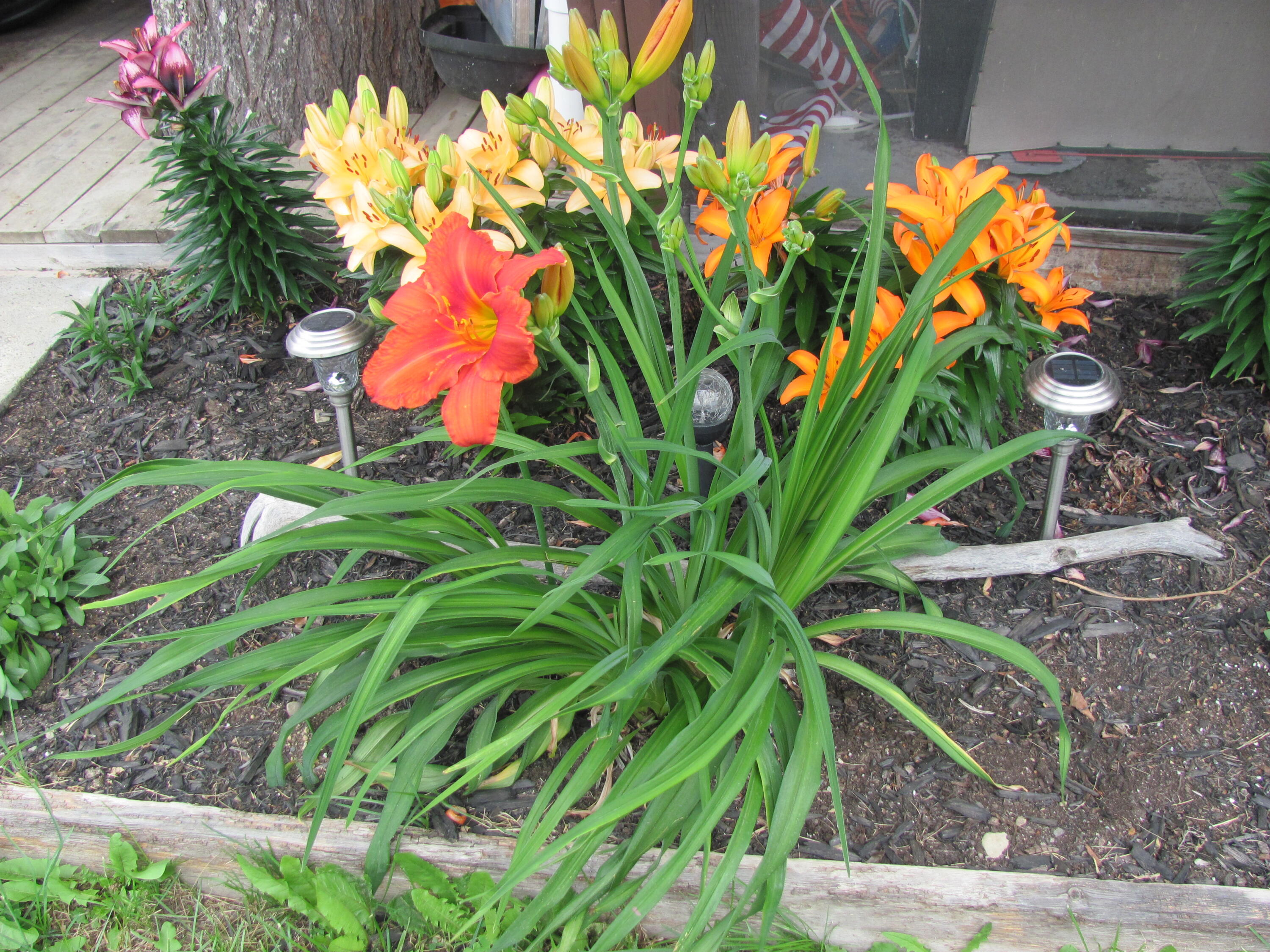 main property photo 38