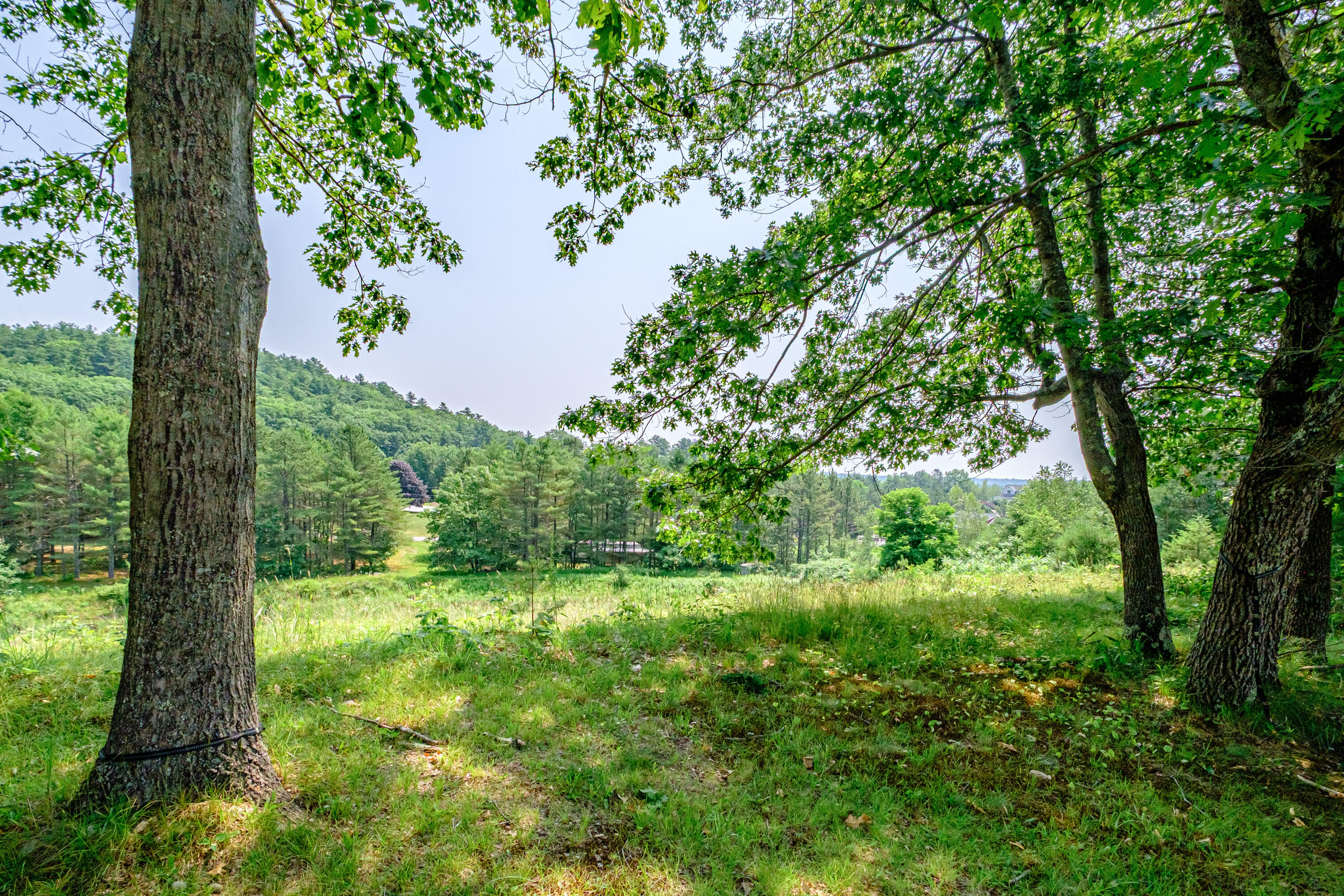 main property photo 80