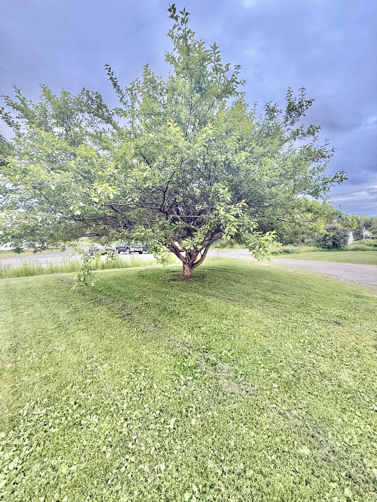 main property photo 23
