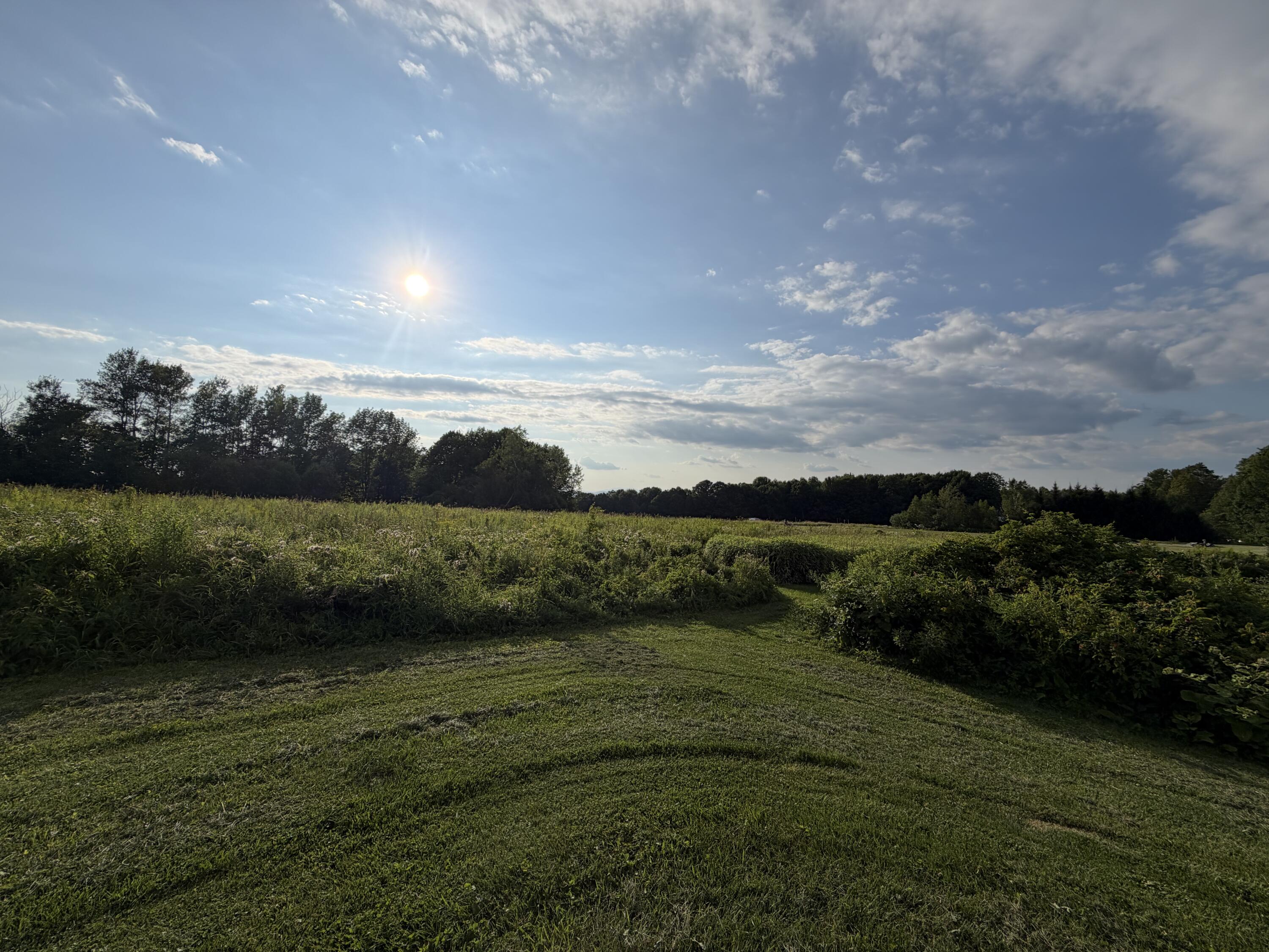 main property photo 33