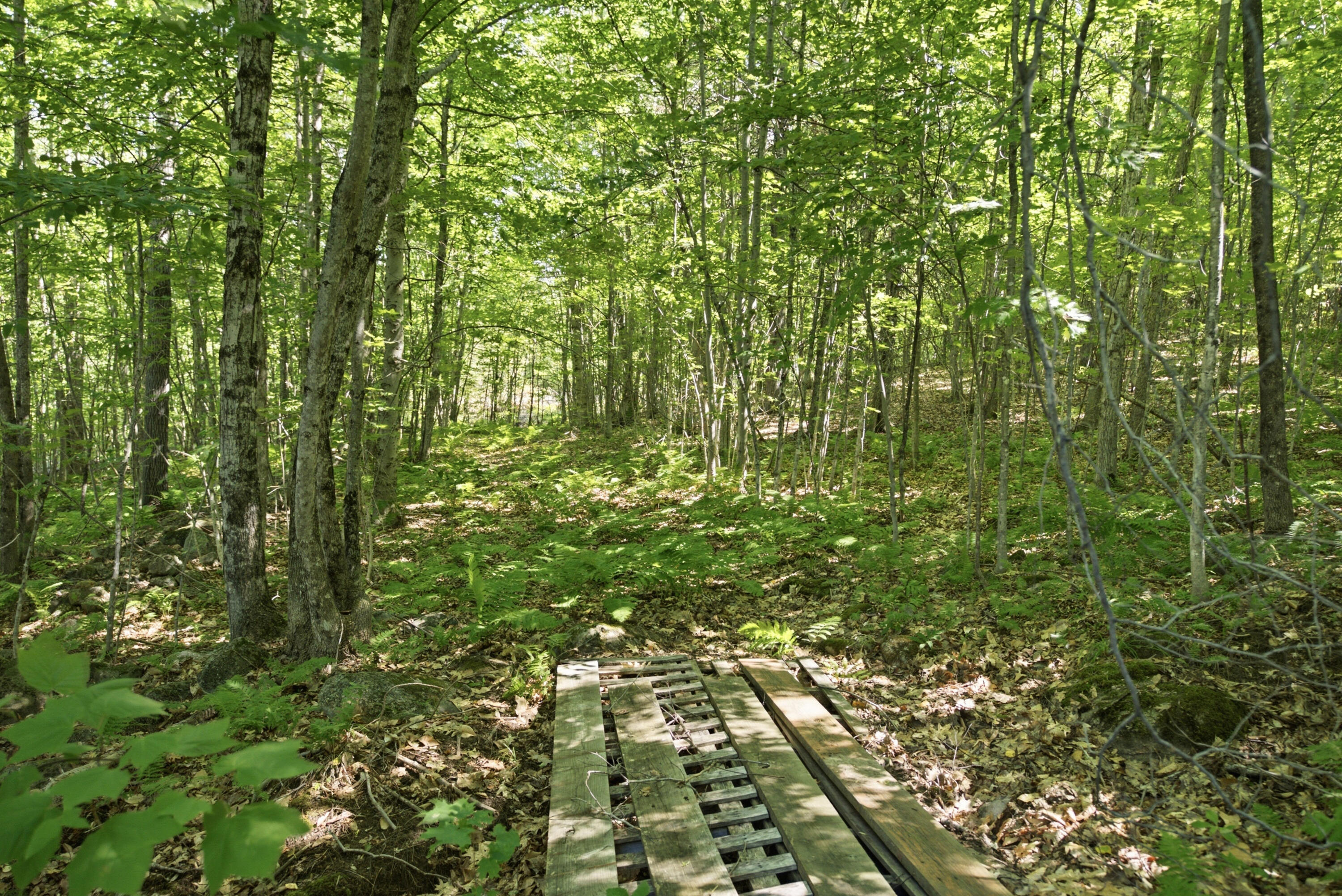 main property photo 57