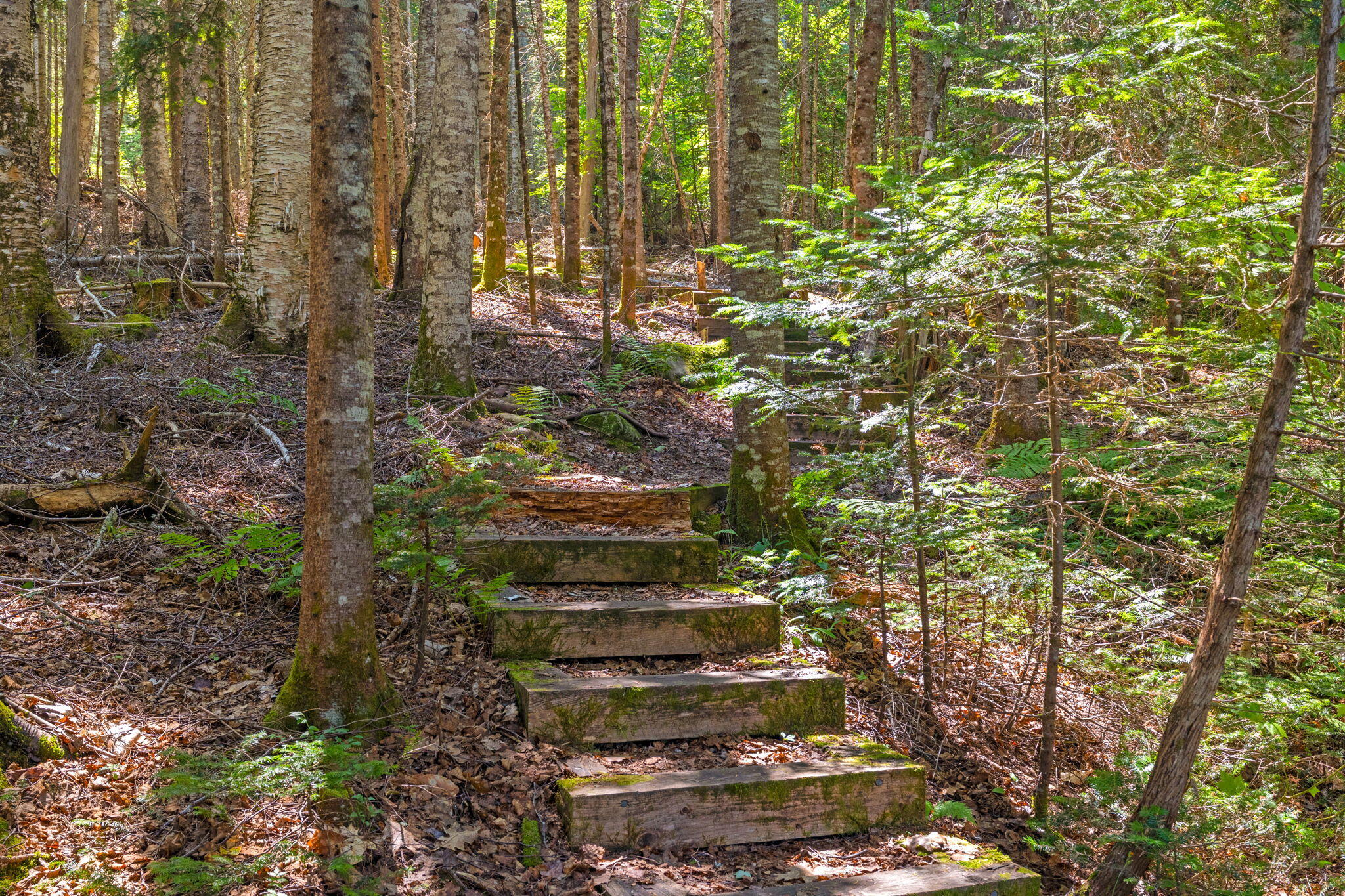 main property photo 41
