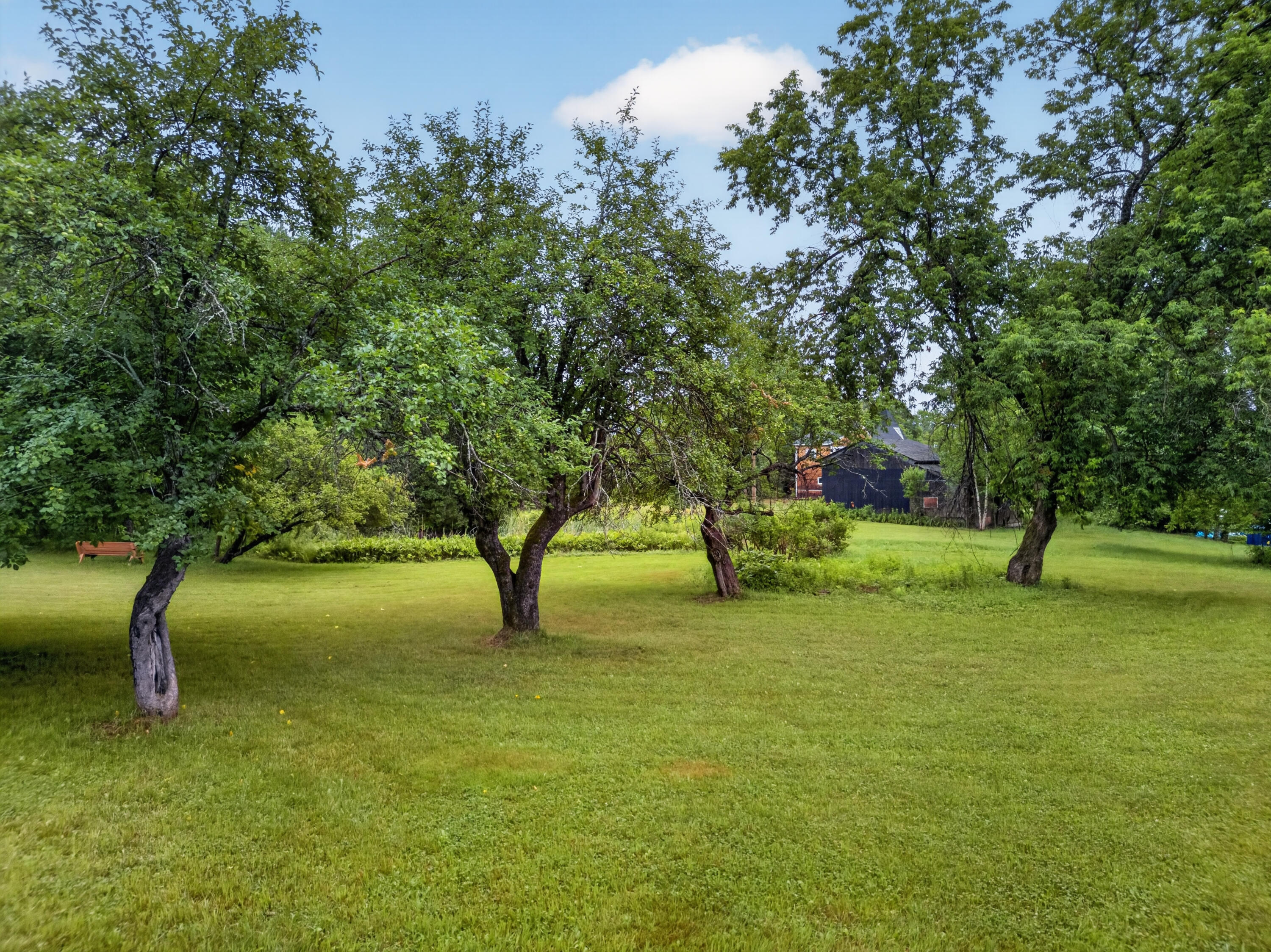 main property photo 66