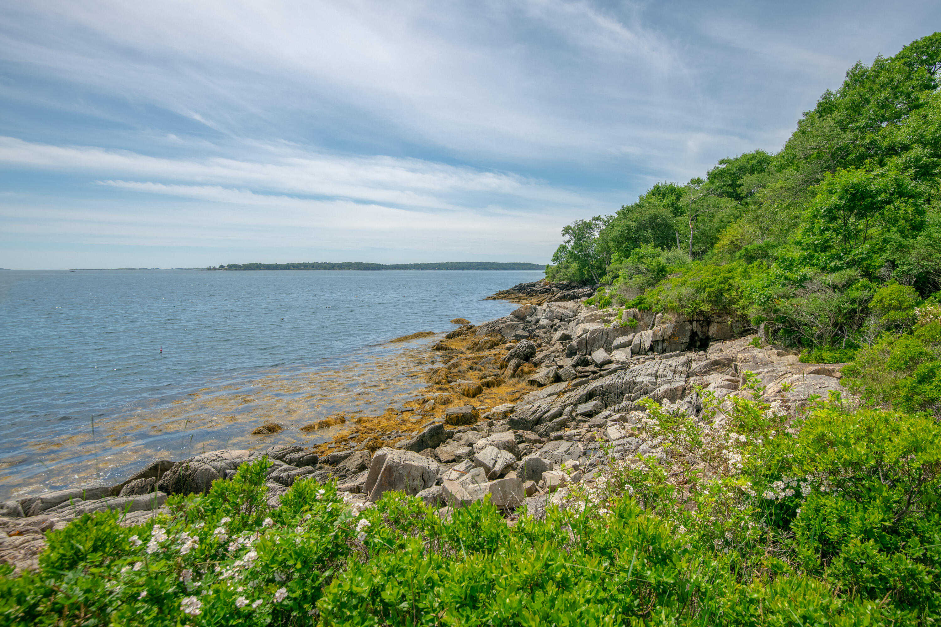 main property photo 44