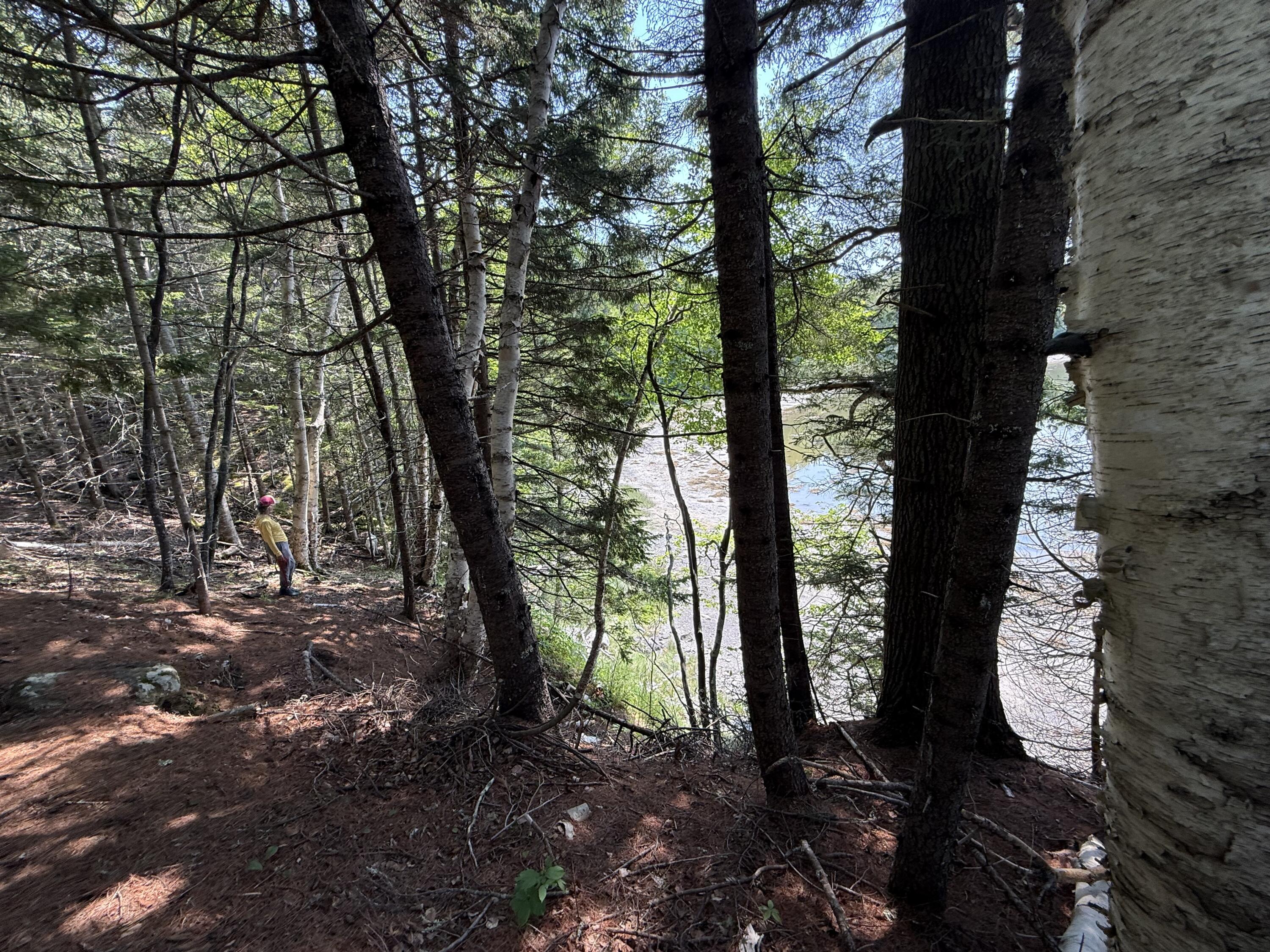 main property photo 11