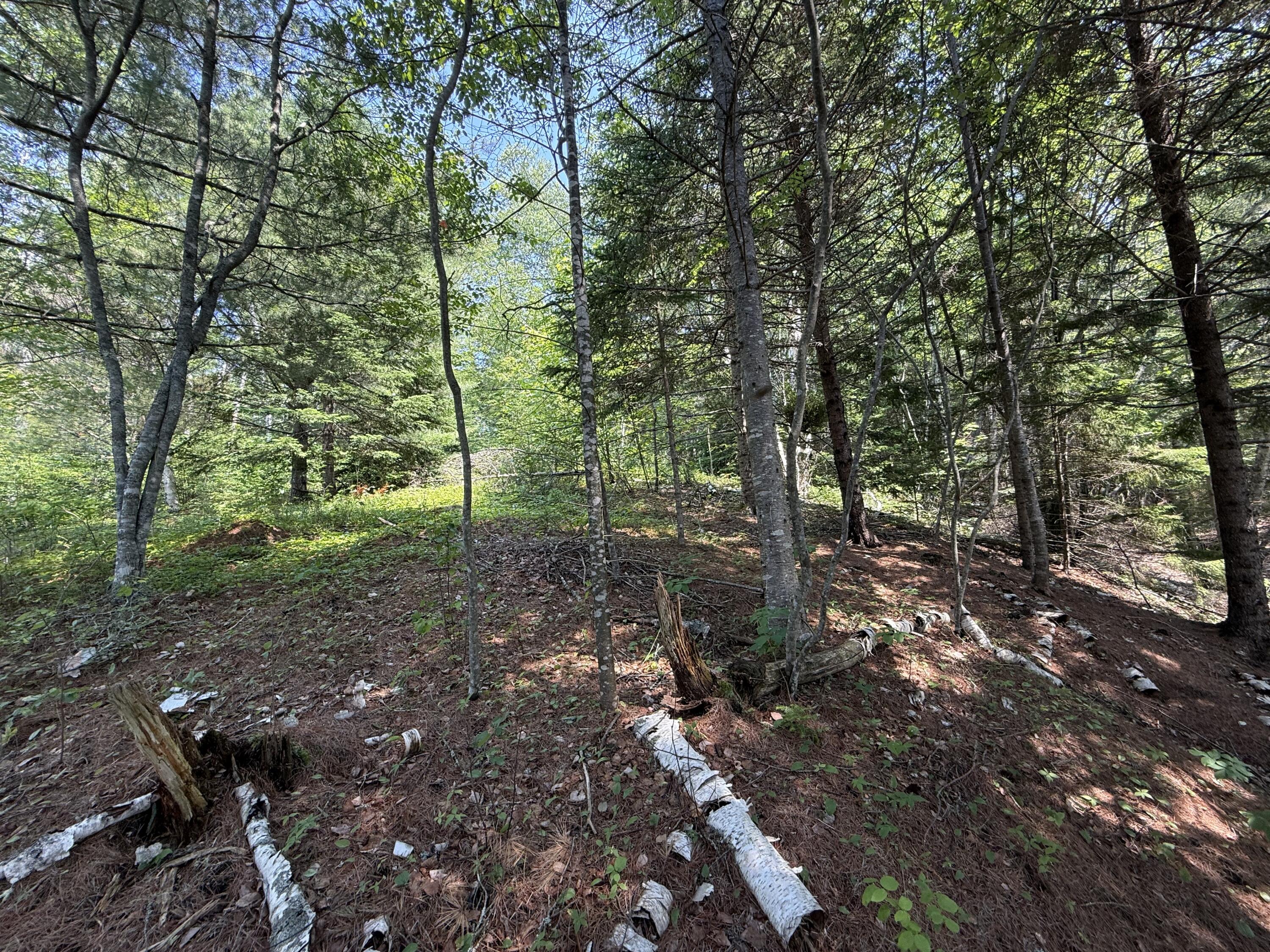main property photo 18