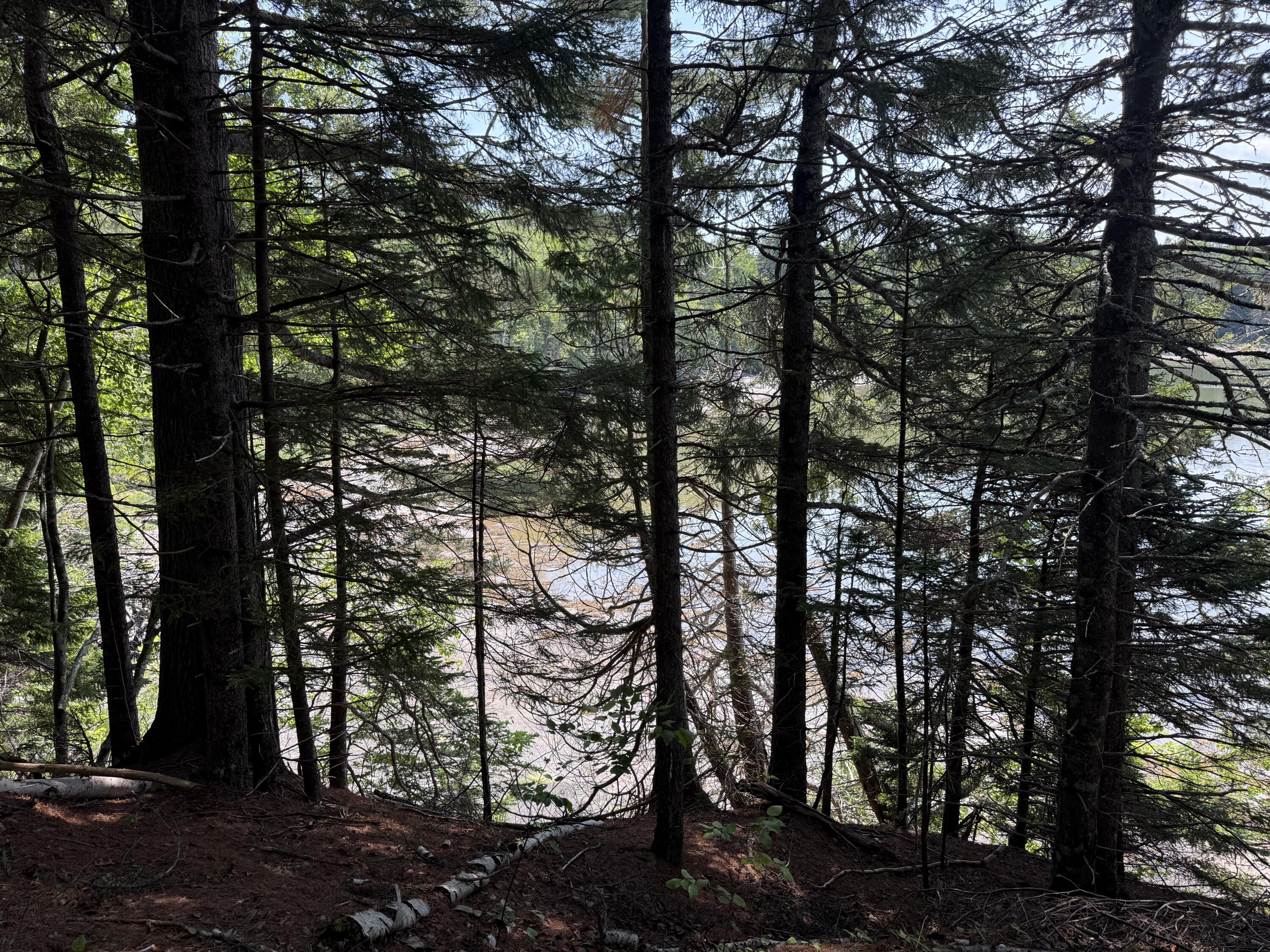 main property photo 19