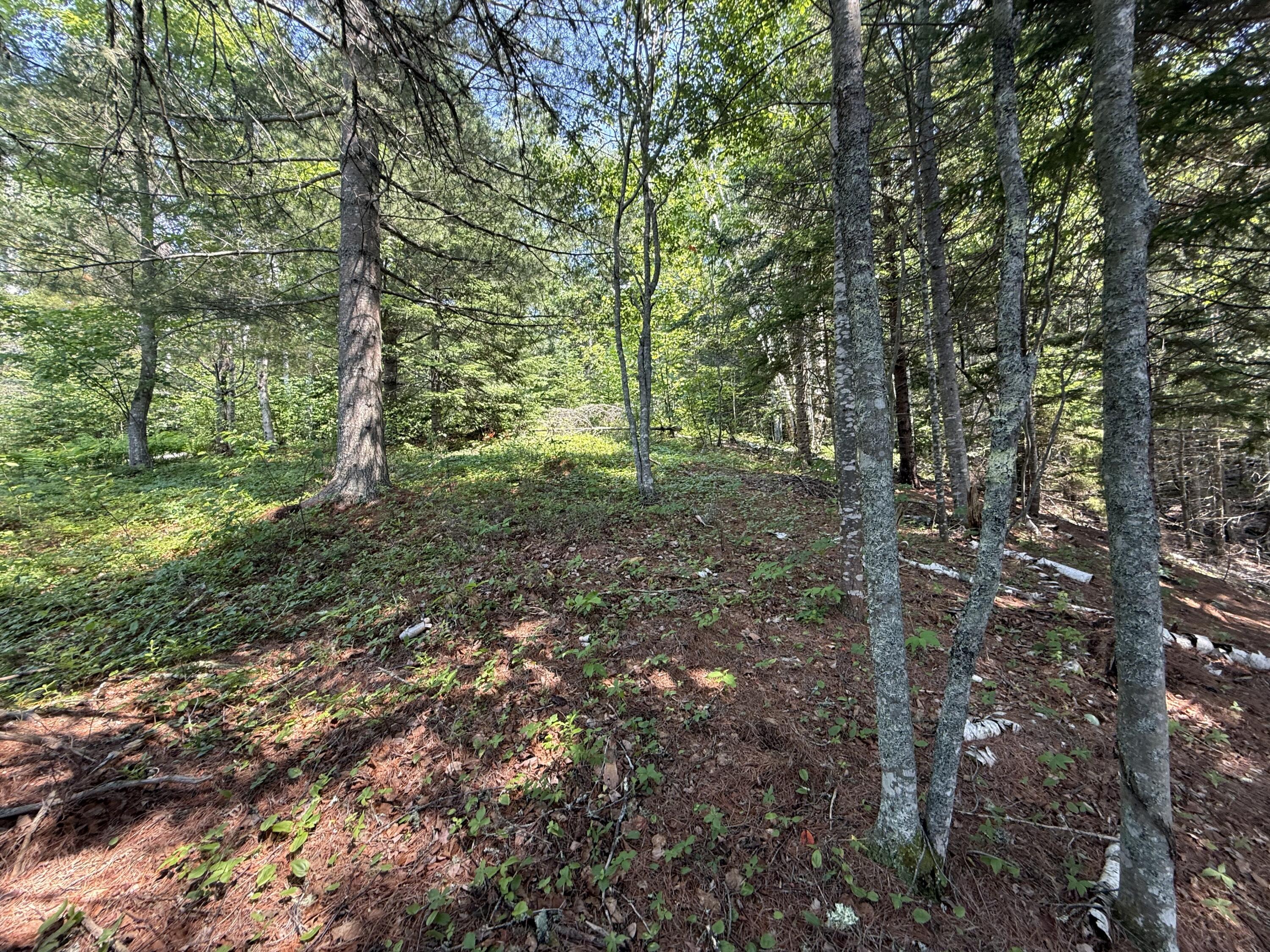 main property photo 8