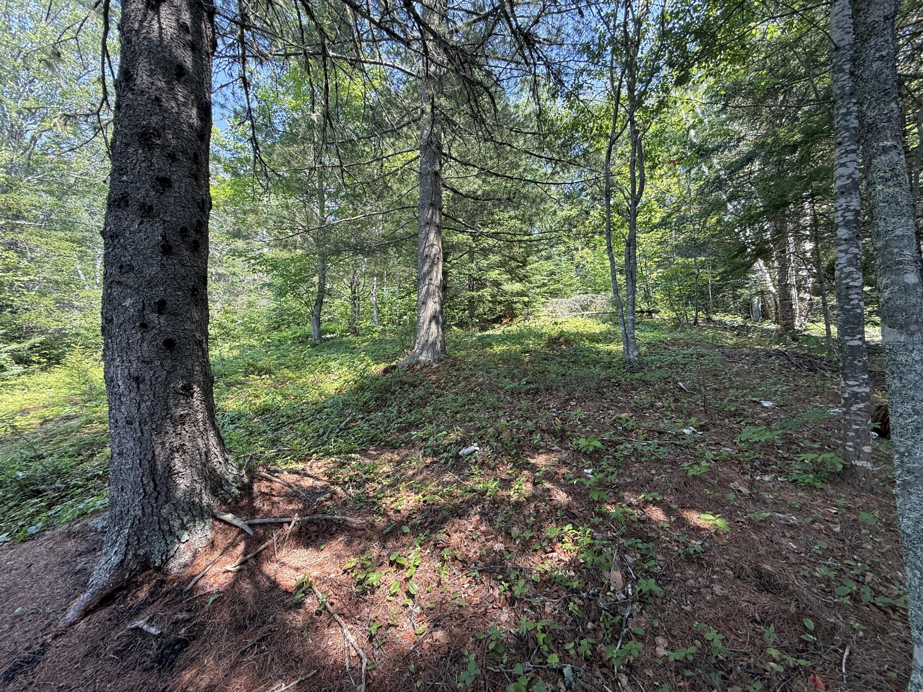 main property photo 9