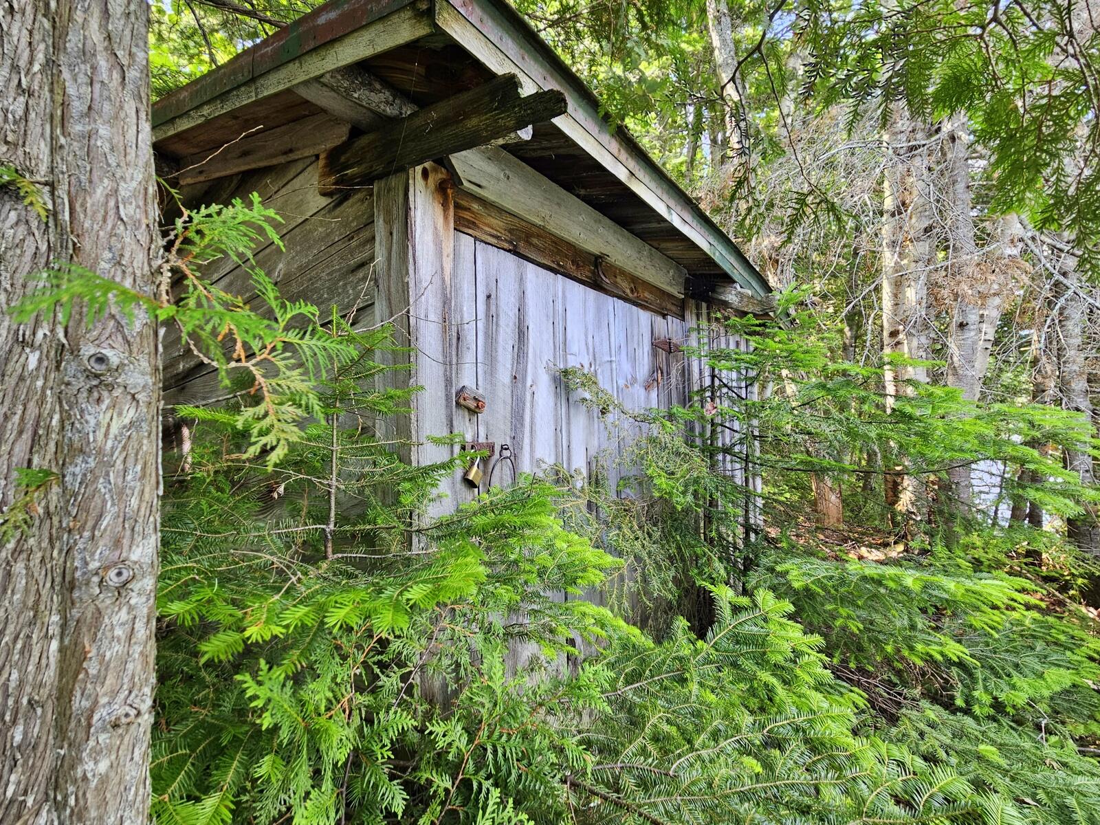 main property photo 19