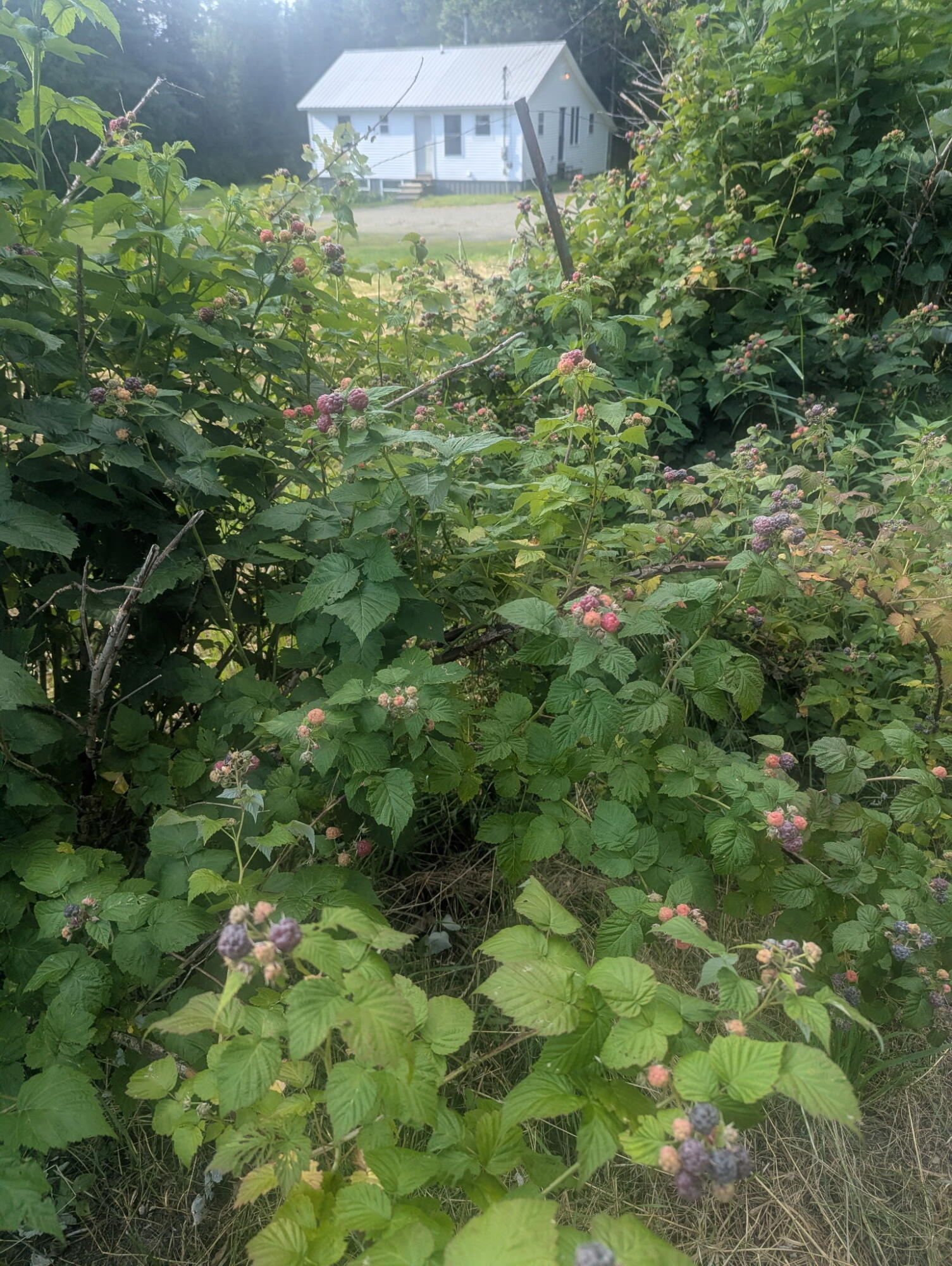 main property photo 2