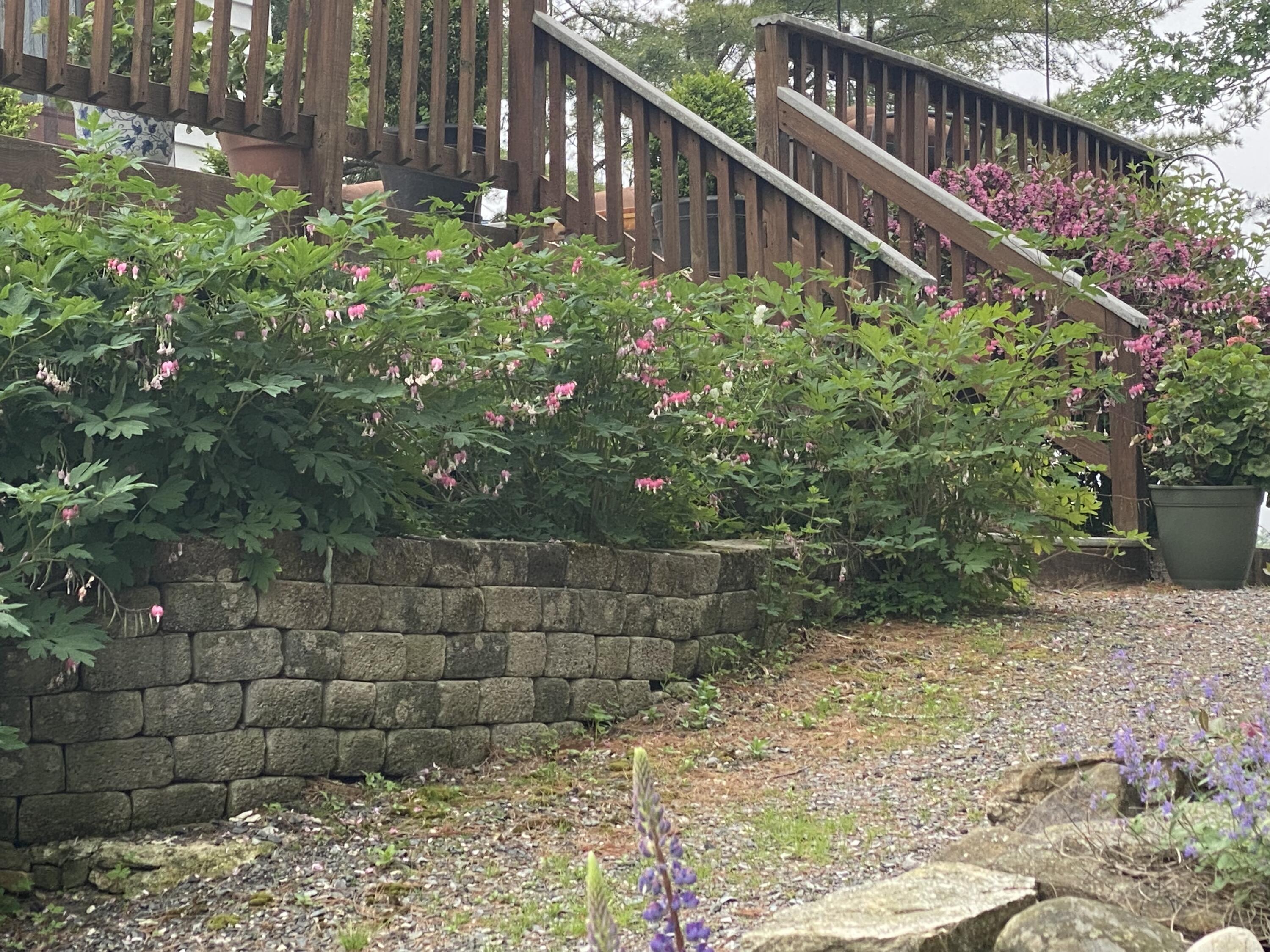 main property photo 63