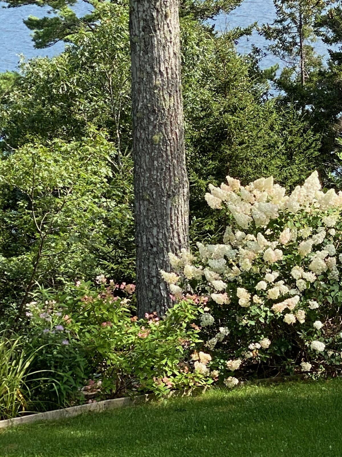 main property photo 64