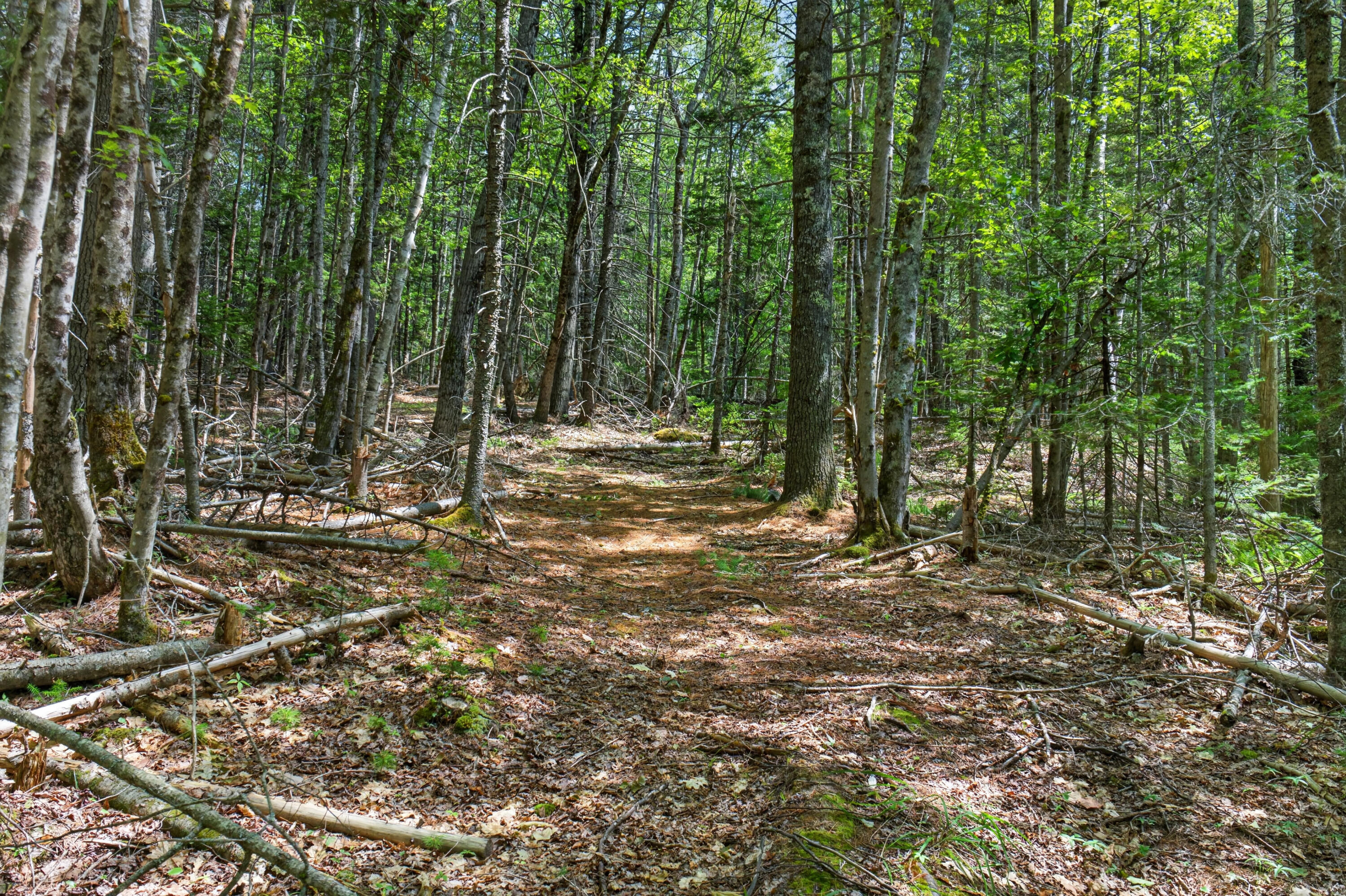 main property photo 45